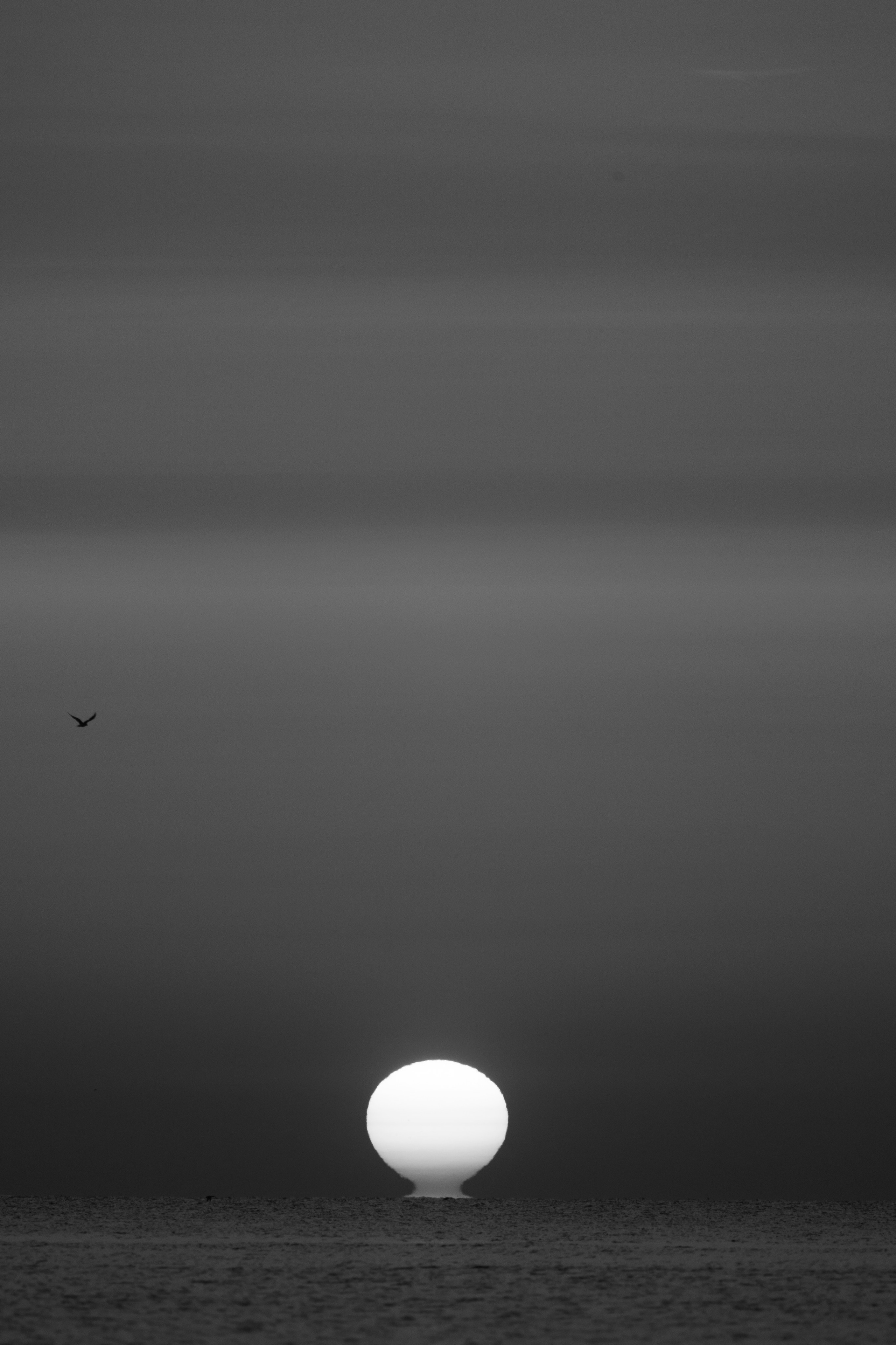 солнце встает поднимается с моря 