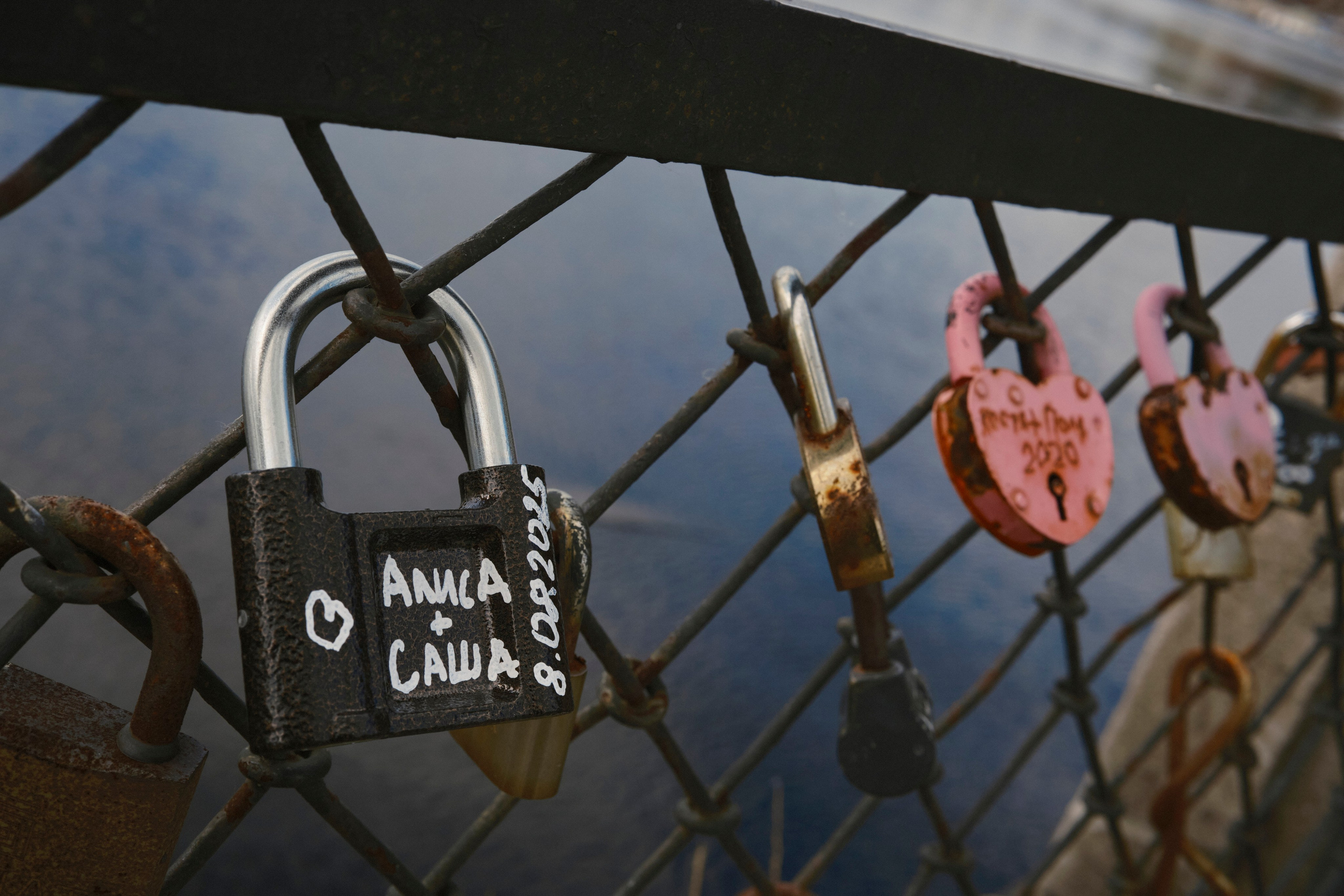 Александр&Алиса. Николай Большаков