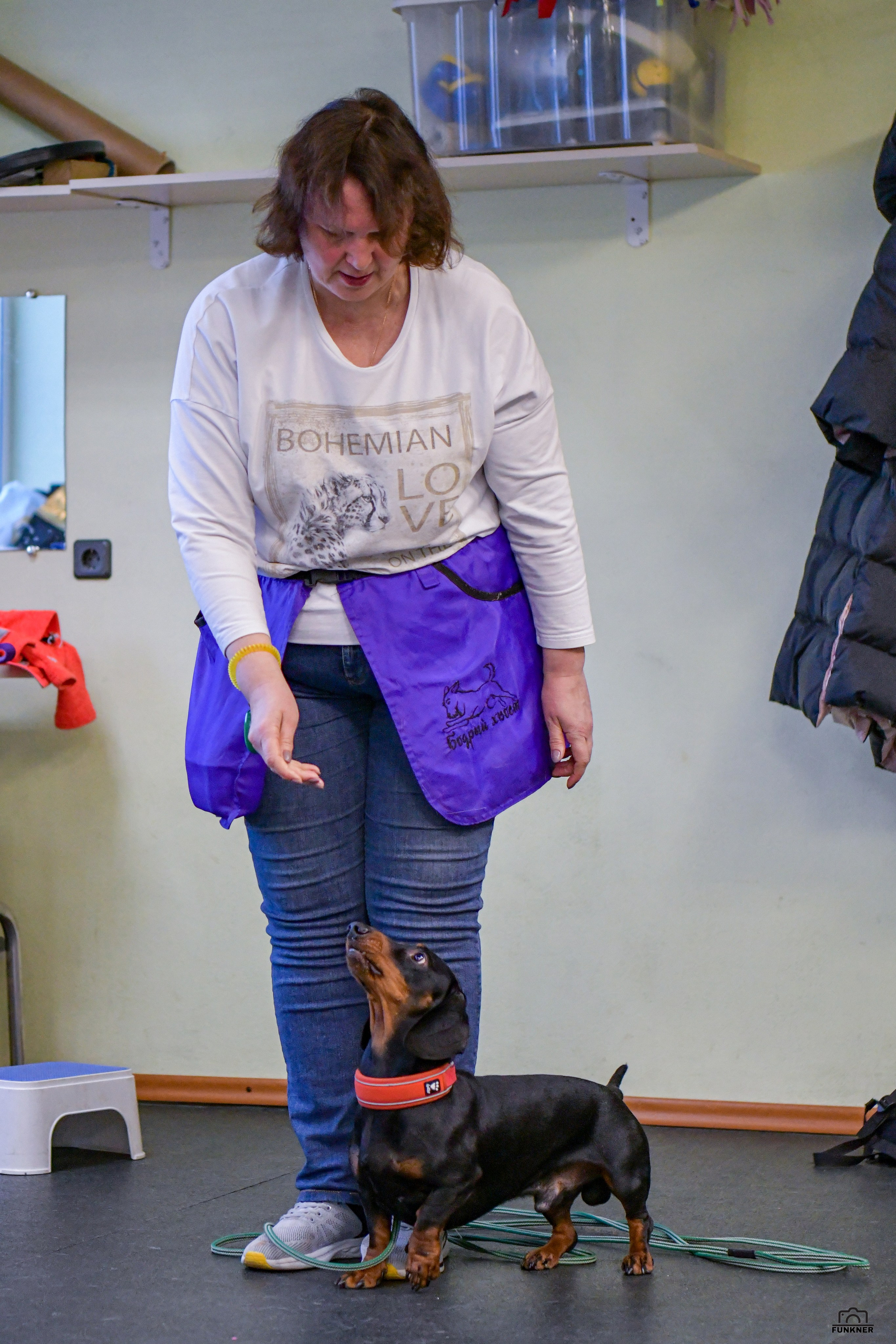 Кинологический клуб «Бодрый хвост». Свой взгляд через объектив