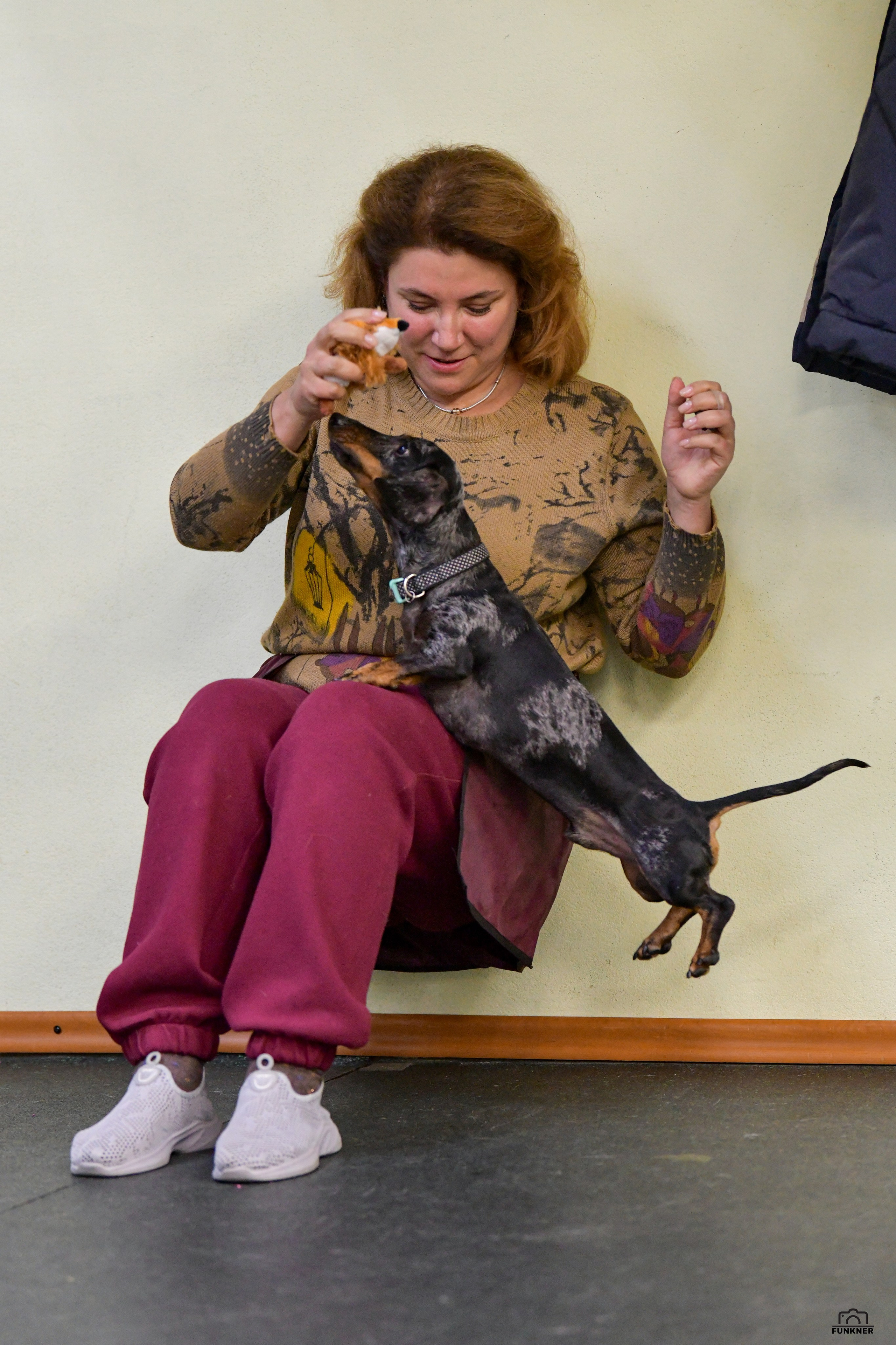 Кинологический клуб «Бодрый хвост». Свой взгляд через объектив