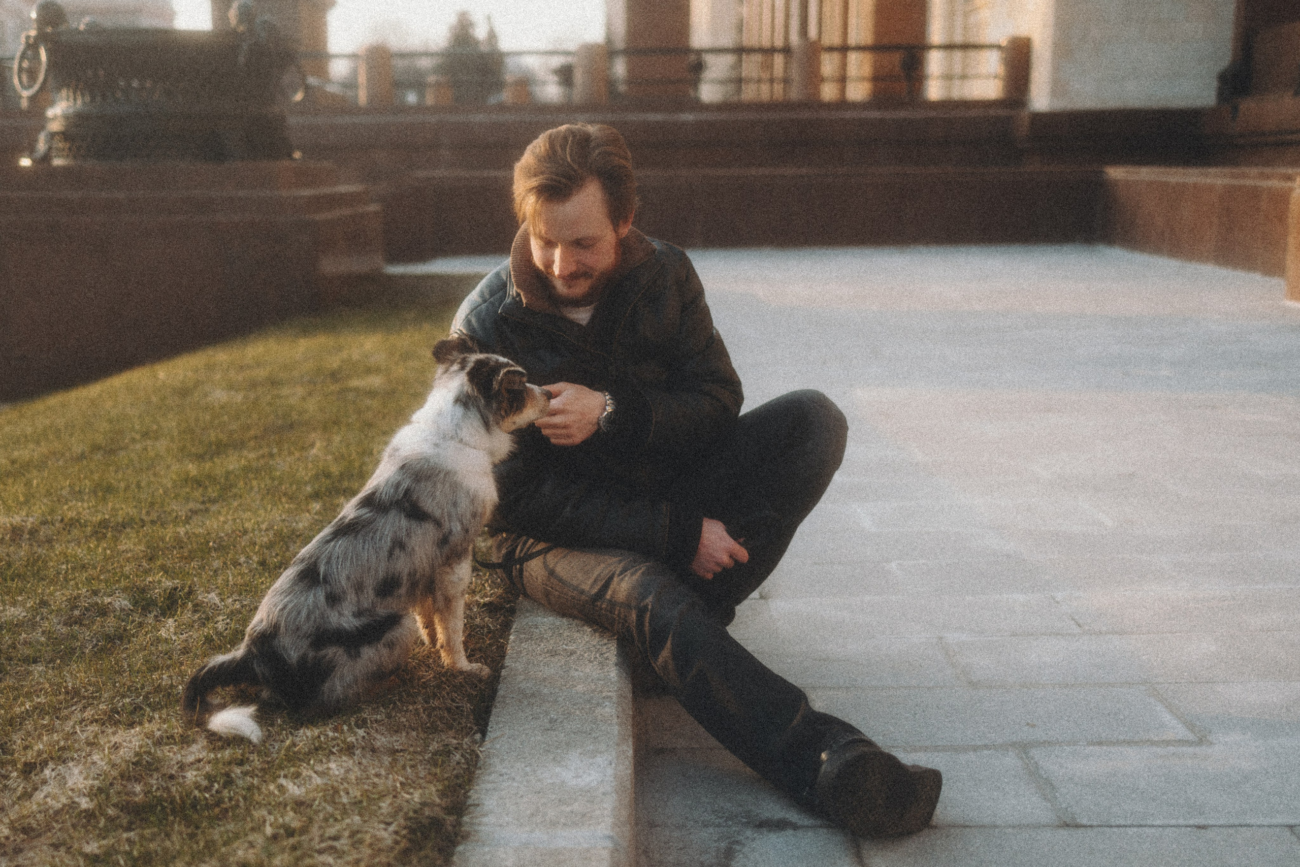 Балу и Илья. Фотограф анималист Анастасия Пикей