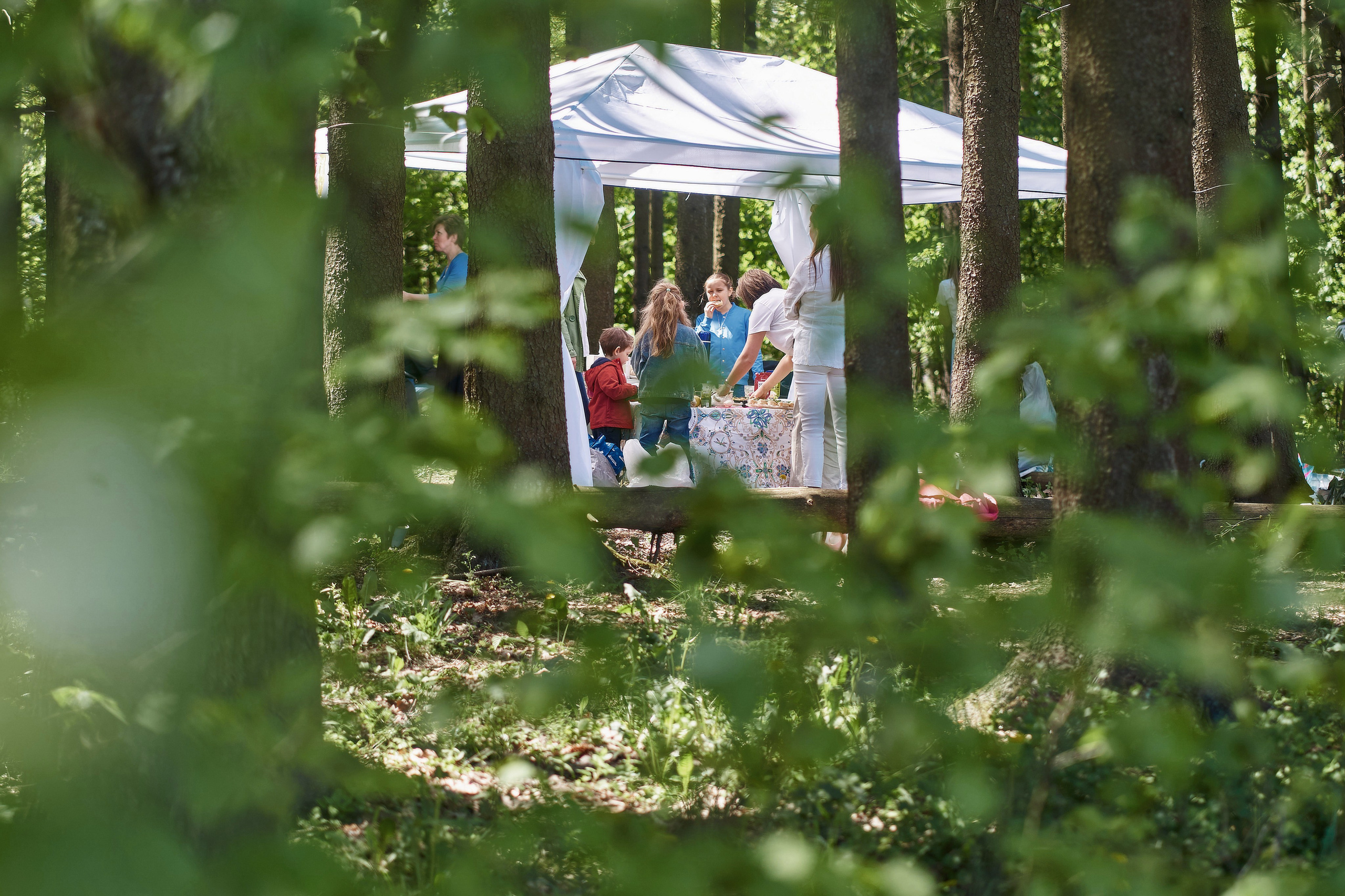 День Рождения в стиле Властелина Колец. Фотограф в Москве Нафиков Руслан. Репортажная съемка, Портрет
