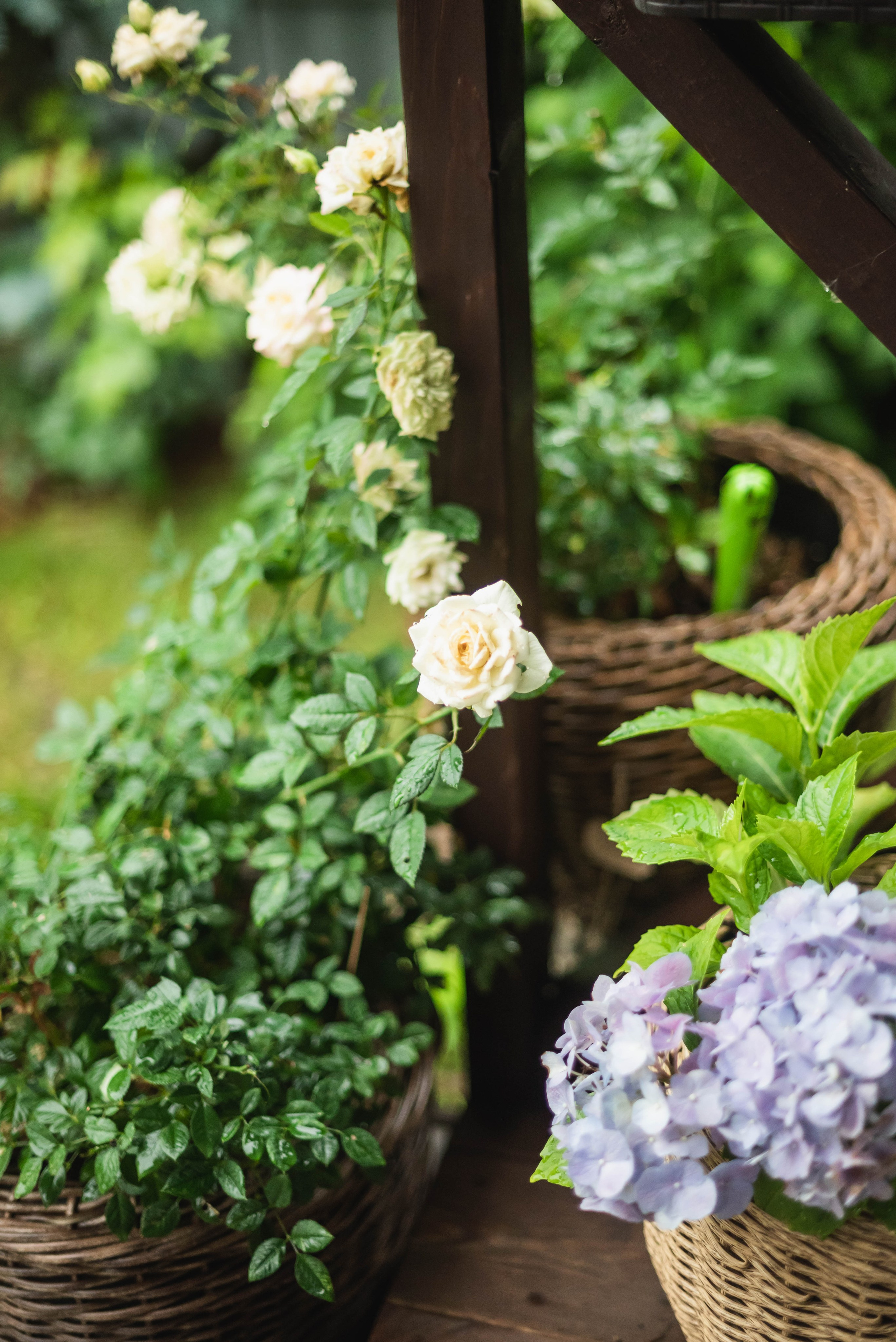 Лесное царство Оксаны. Свадебный и семейный фотограф в Новосибирске, Санкт-Петербурге, Москве