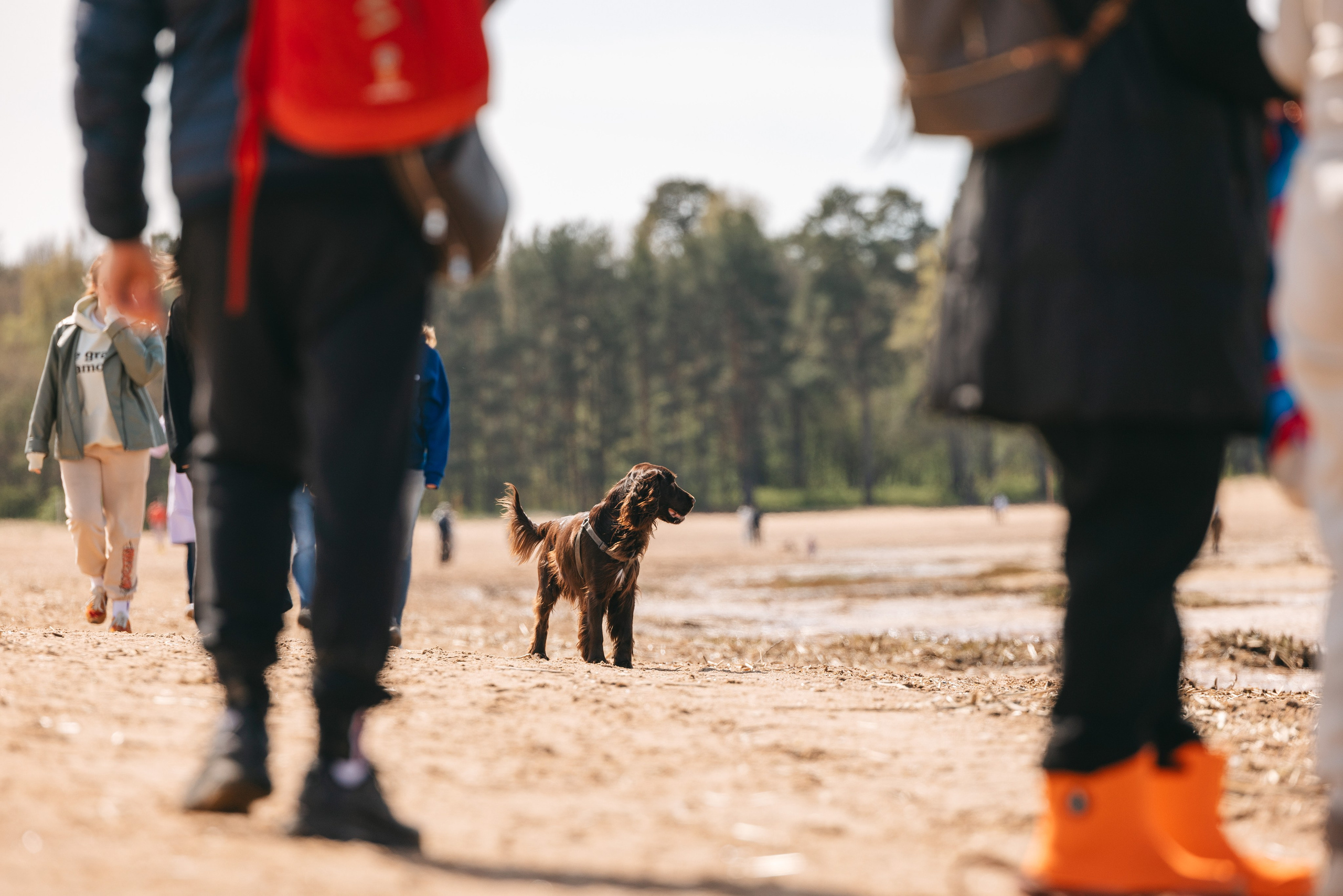 Спанимания. Фотограф анималист Осипчикова Мария