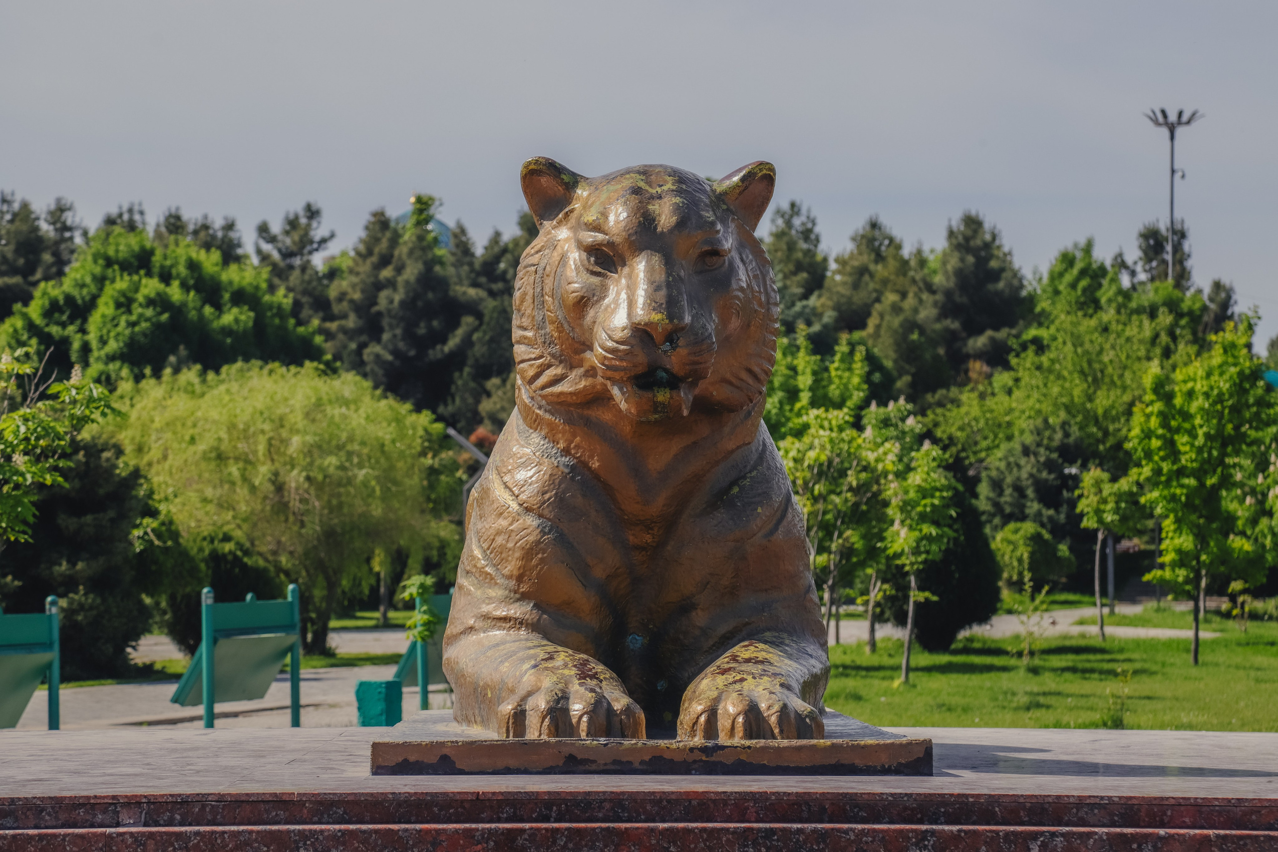 Самарканд апрель 2026. Фотограф Юля Постнова