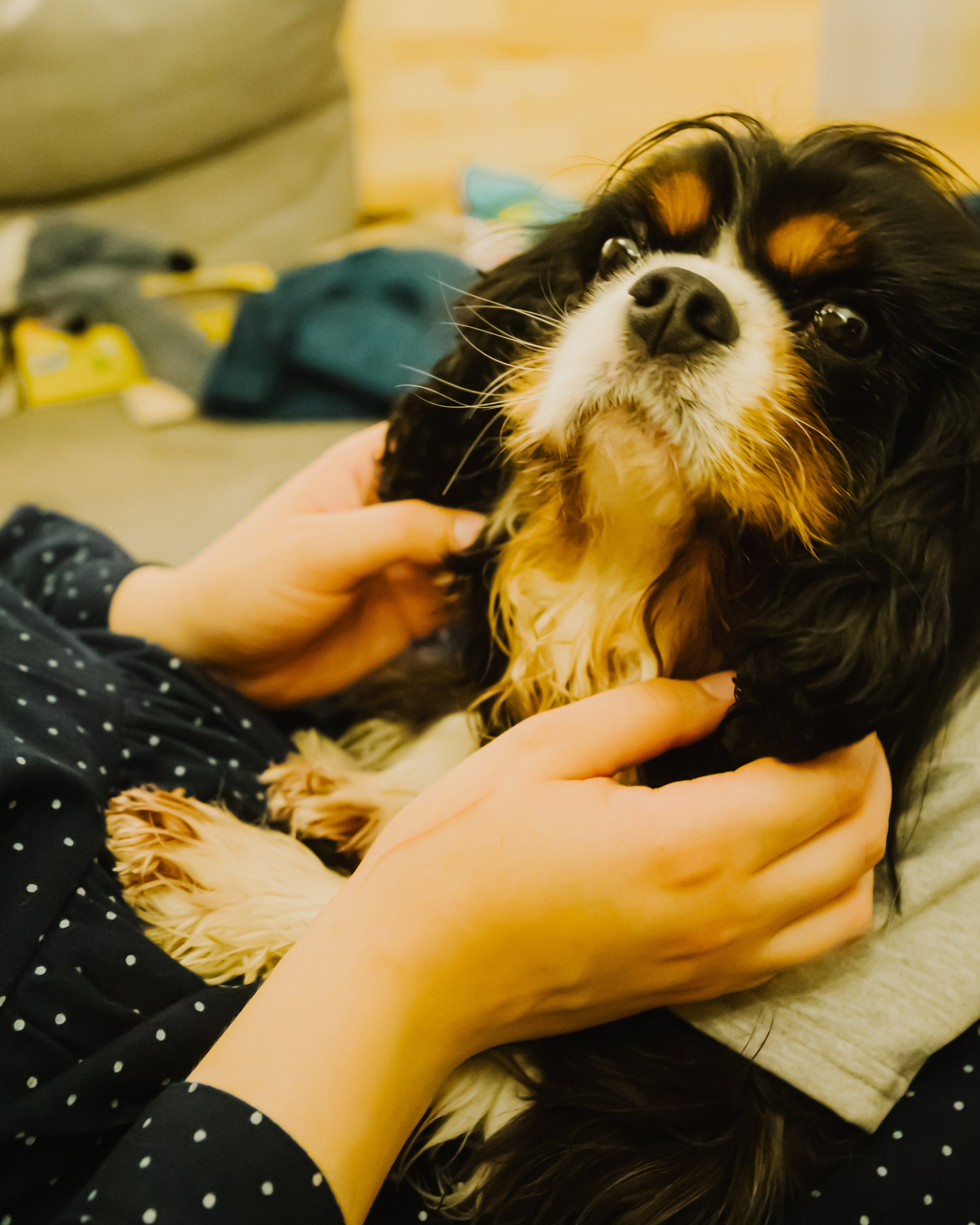 Гилдин. Портретный фотограф Ванинен Анастасия. Санкт-Петербург