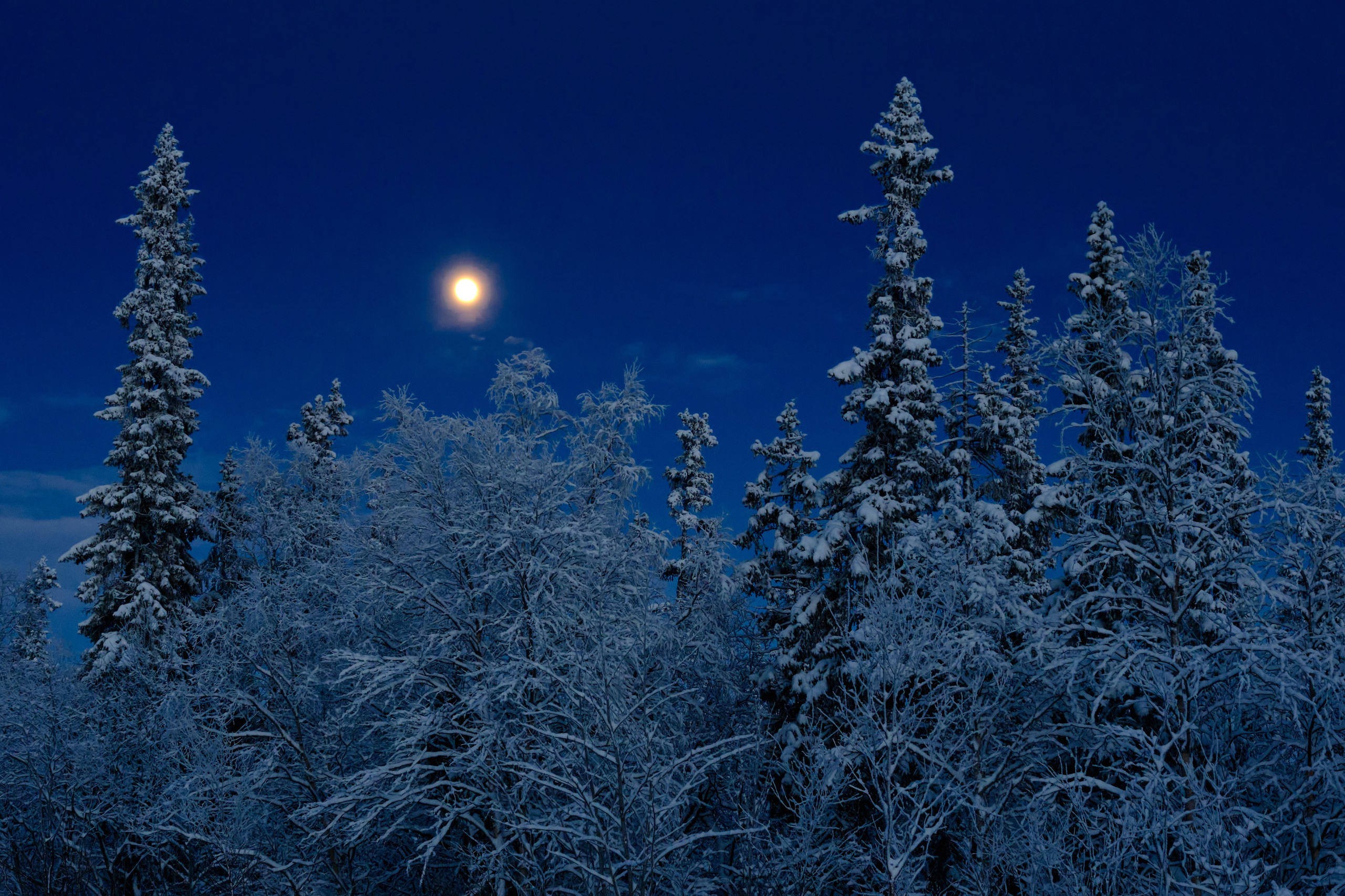 Зима. Пейзажи Крайнего Севера. Баренцево море, Рыбачий, Средний, Немецкий