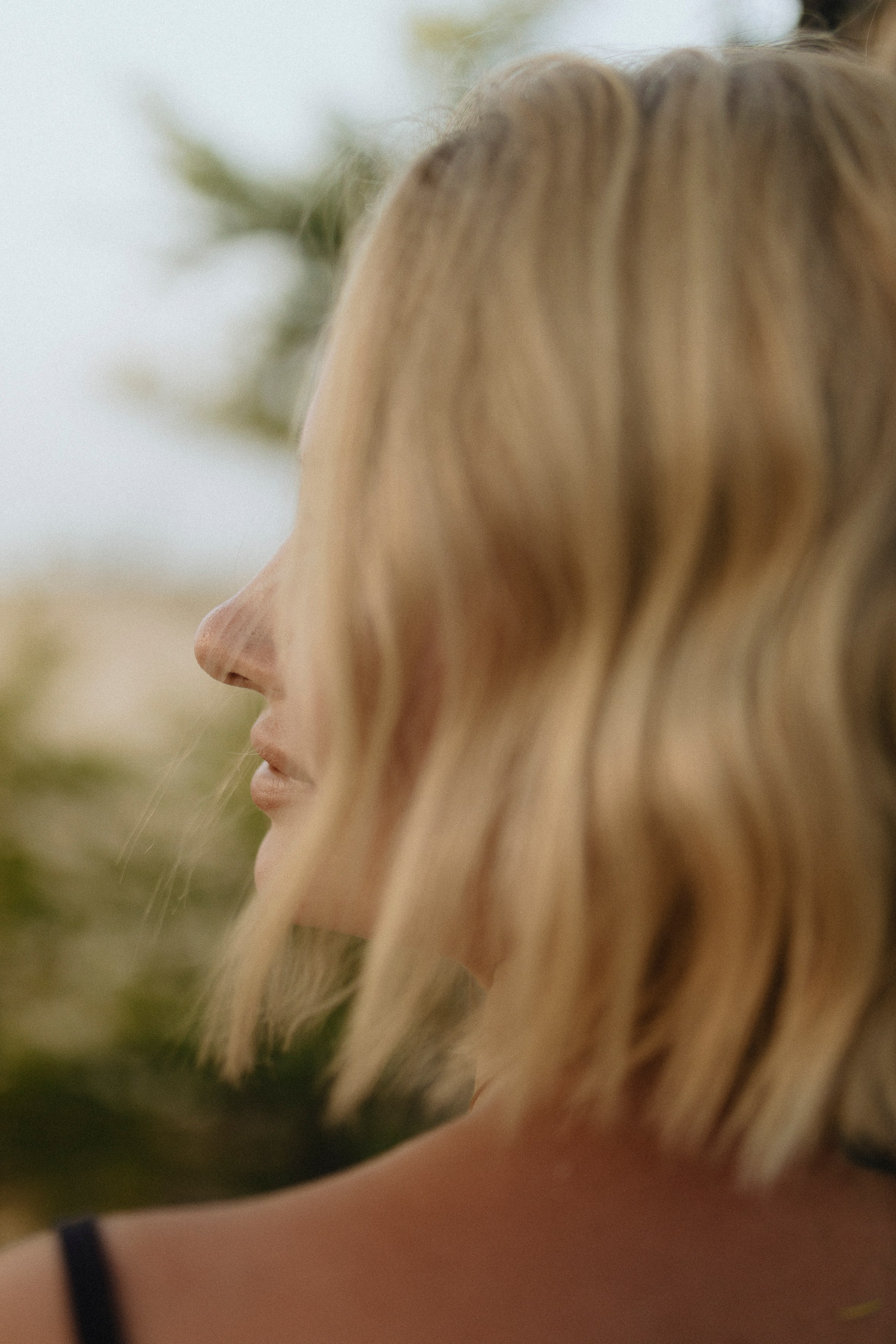 Цветок Ольхона. Фотограф Ольхон/ Индия, Регина