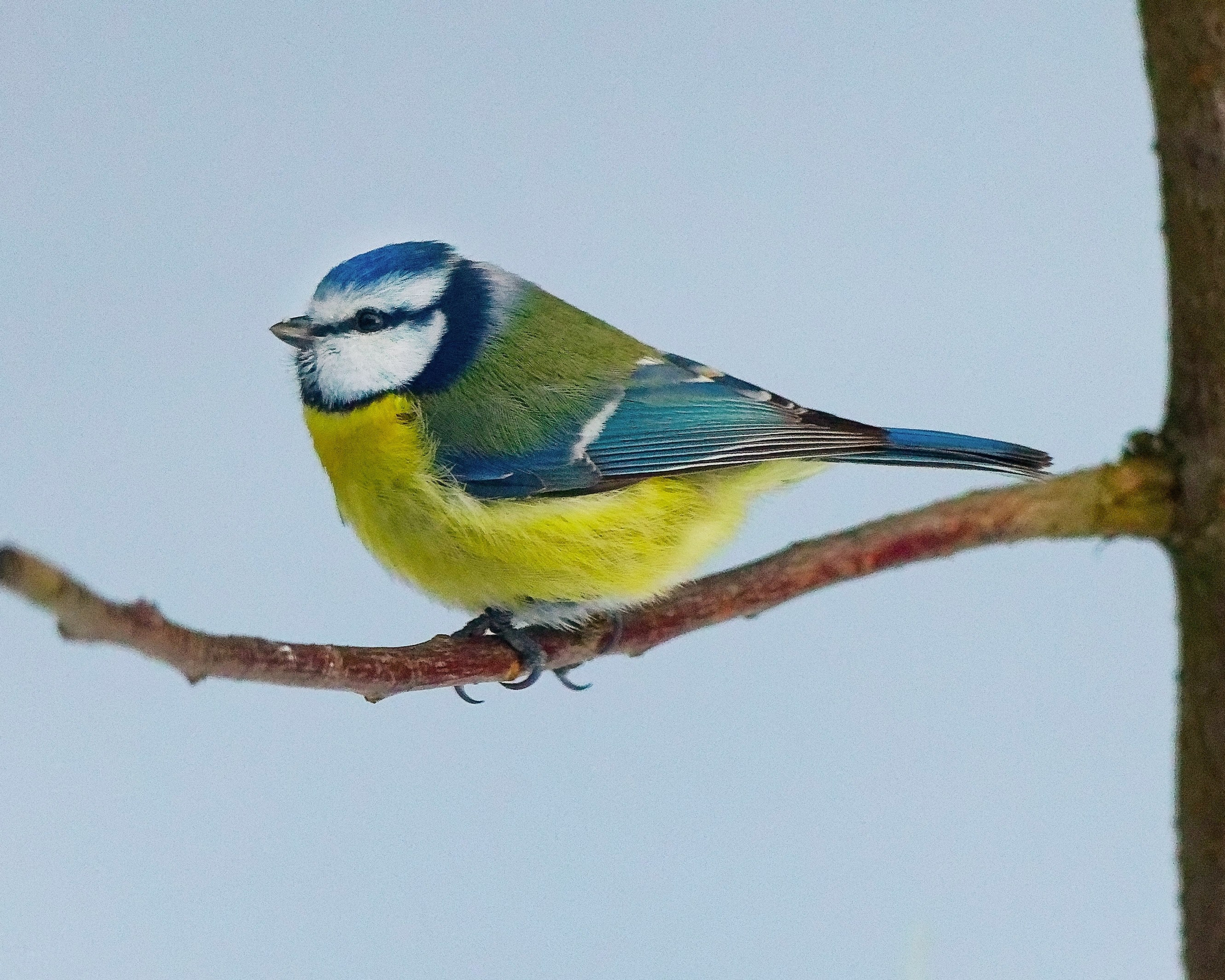 ПРИРОДА. Слепки времени. Фотографии природы и событий. Москва. Сергей Аллагулов