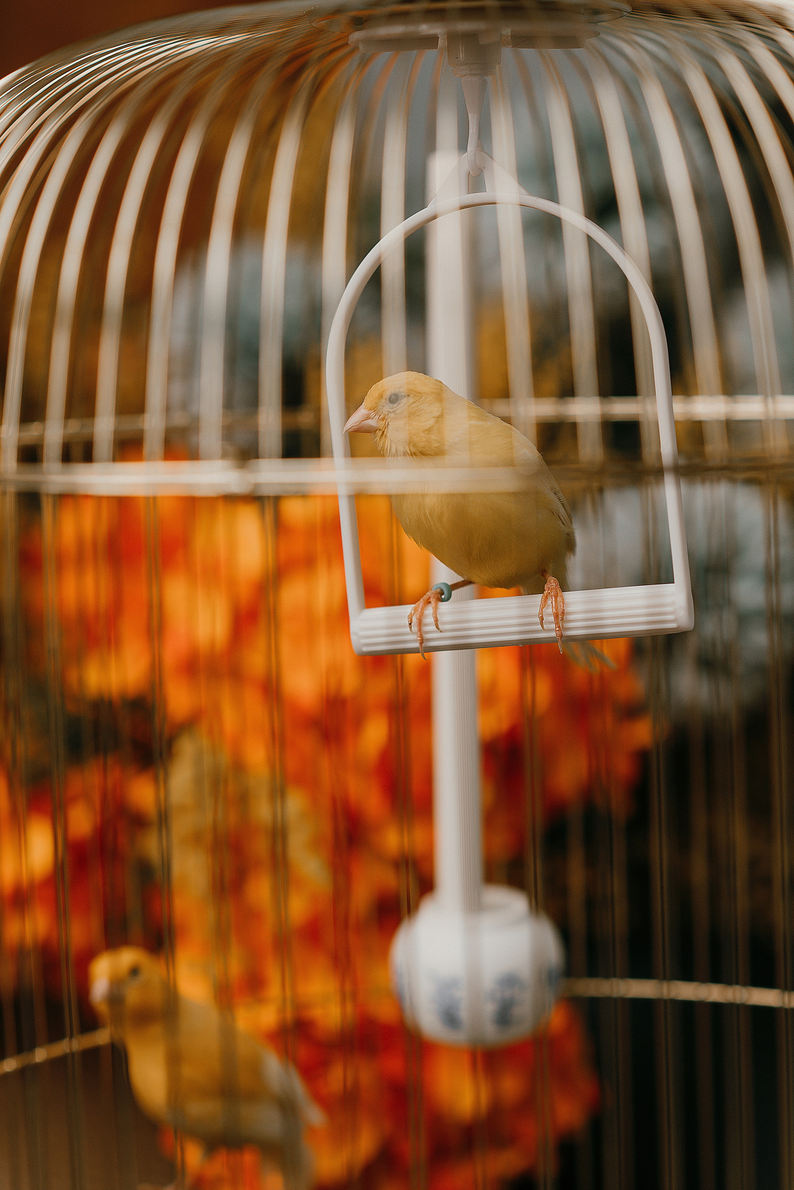 Лука и София. Свадебный и семейный фотограф в Ростове-на-Дону Алина Астахова