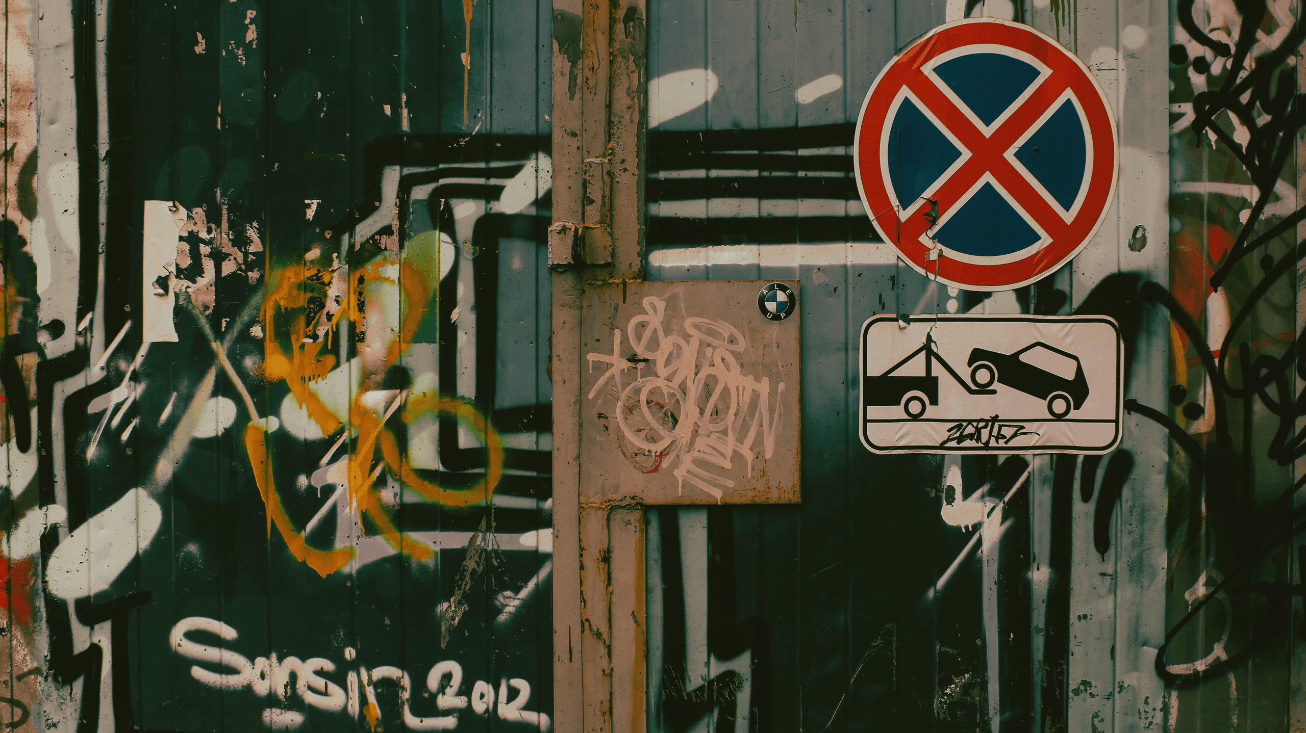 TMN autumn '24. Фотограф/дизайнер в Екатеринбурге Хитрый Дмитрий