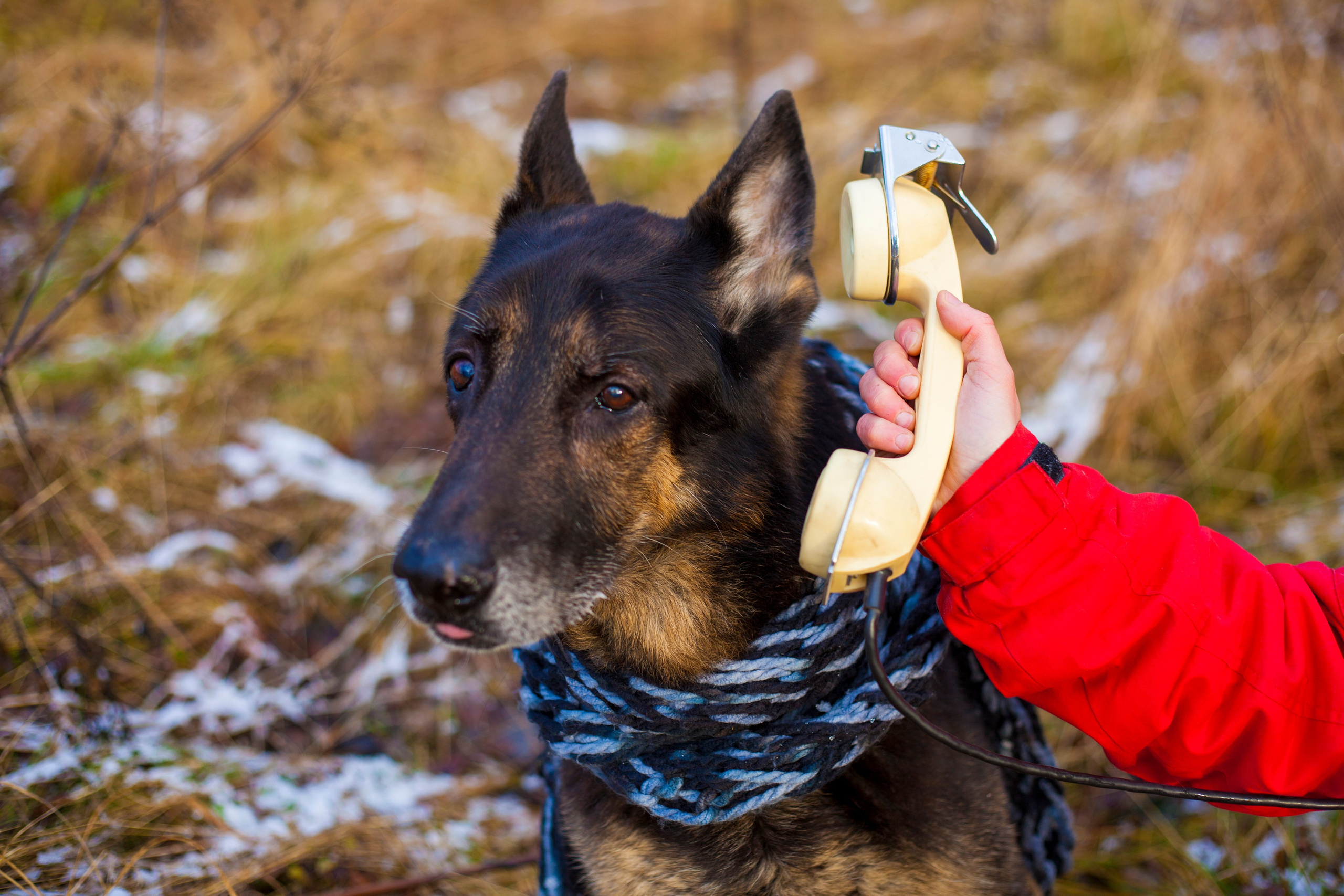 Полина, маркетолог. Фотограф Александра Степанова