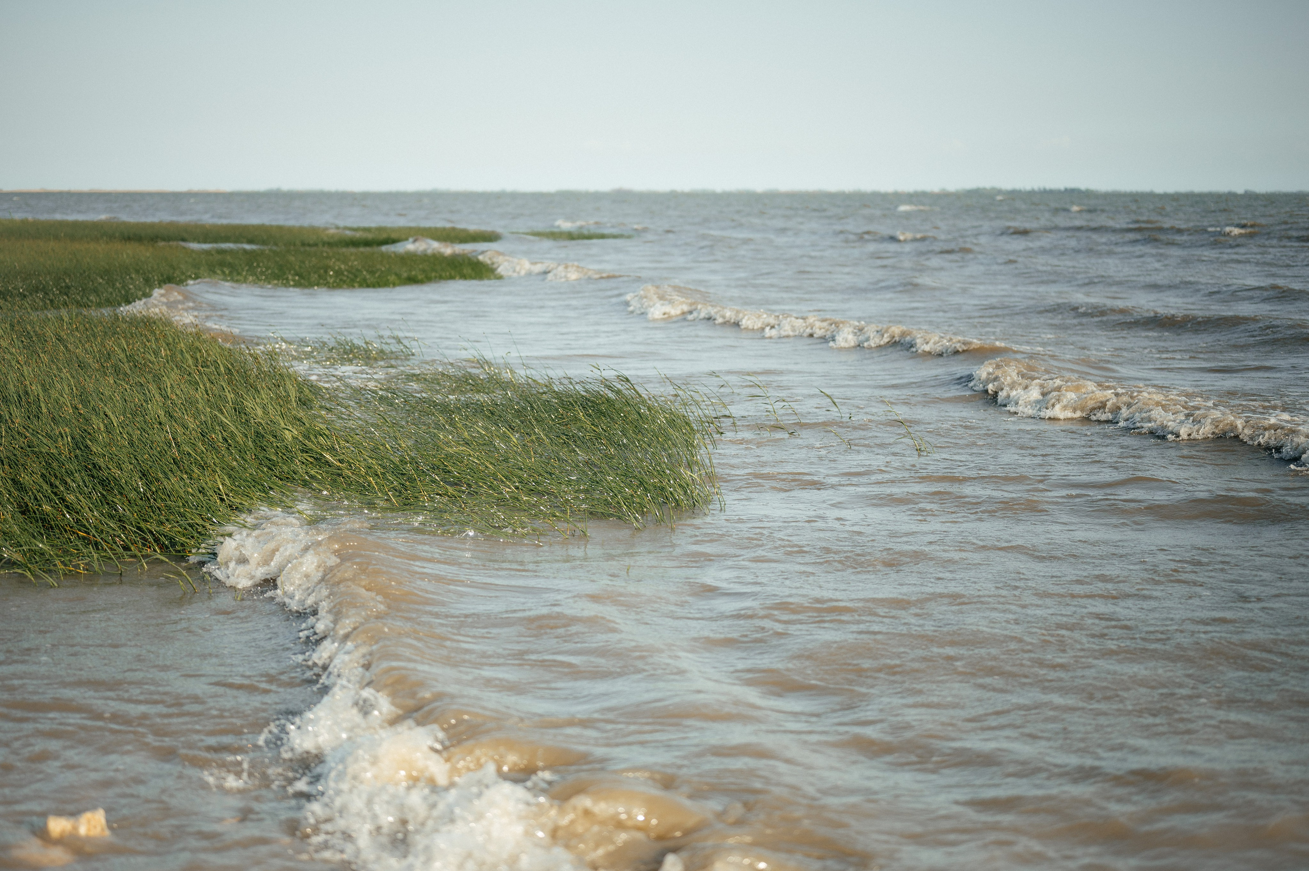 Вова&Лена. Свадебный фотограф в Донецке — Вита Донец