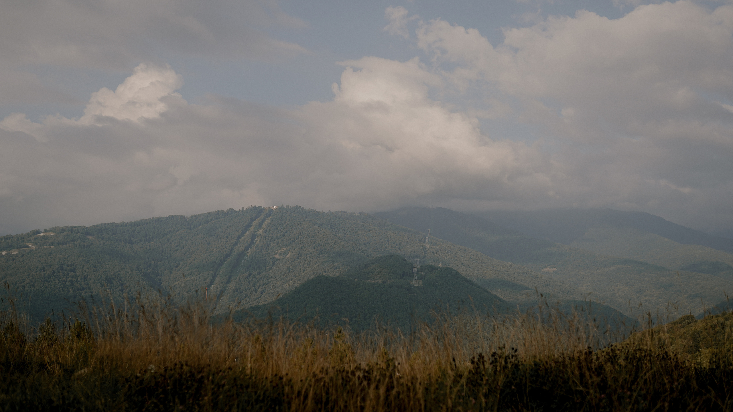 «Коготь». Милана Довгаль - семейный фотограф и видеограф  в Адлере и Сочи