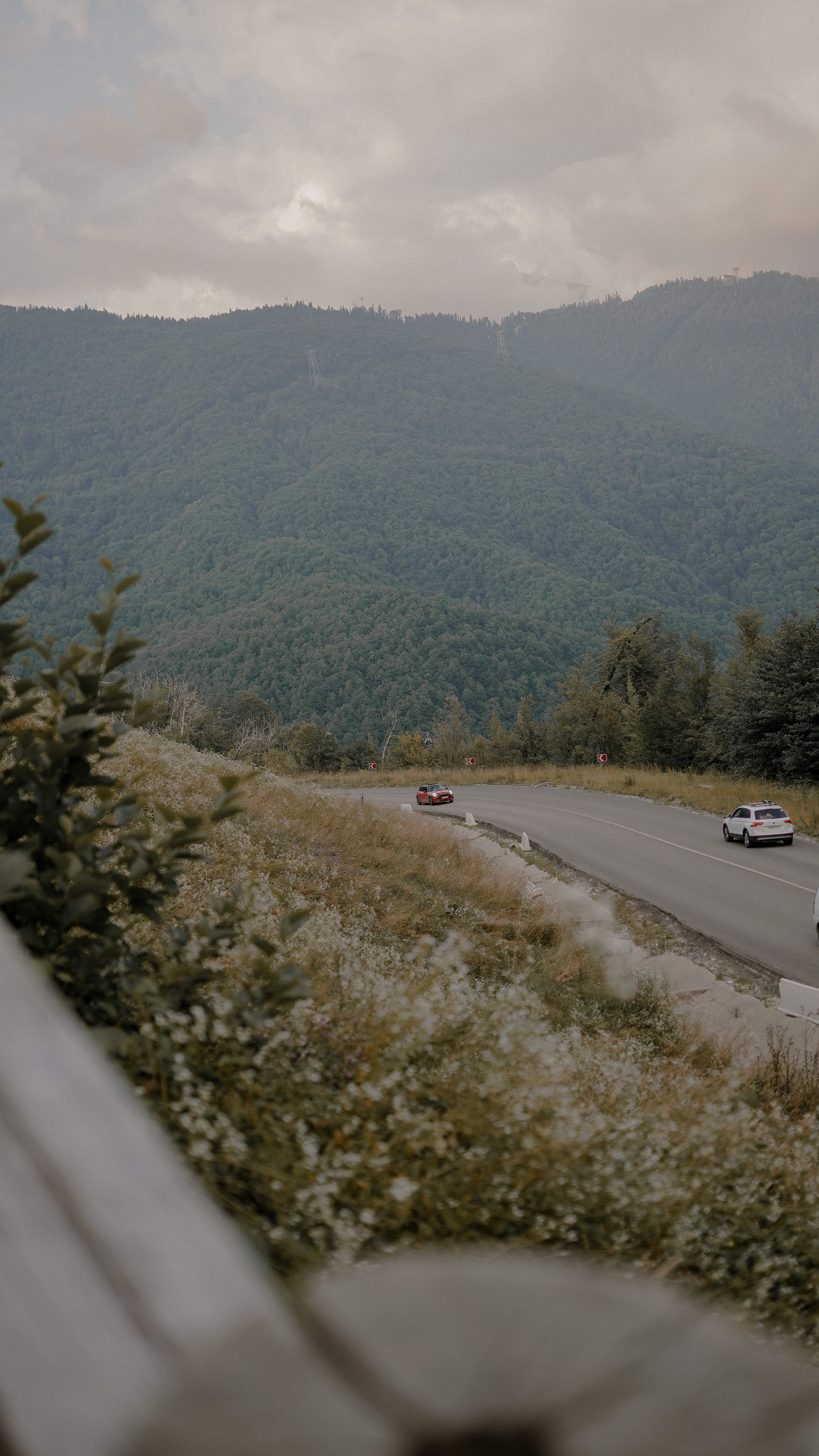 «Коготь». Милана Довгаль - семейный фотограф и видеограф  в Адлере и Сочи