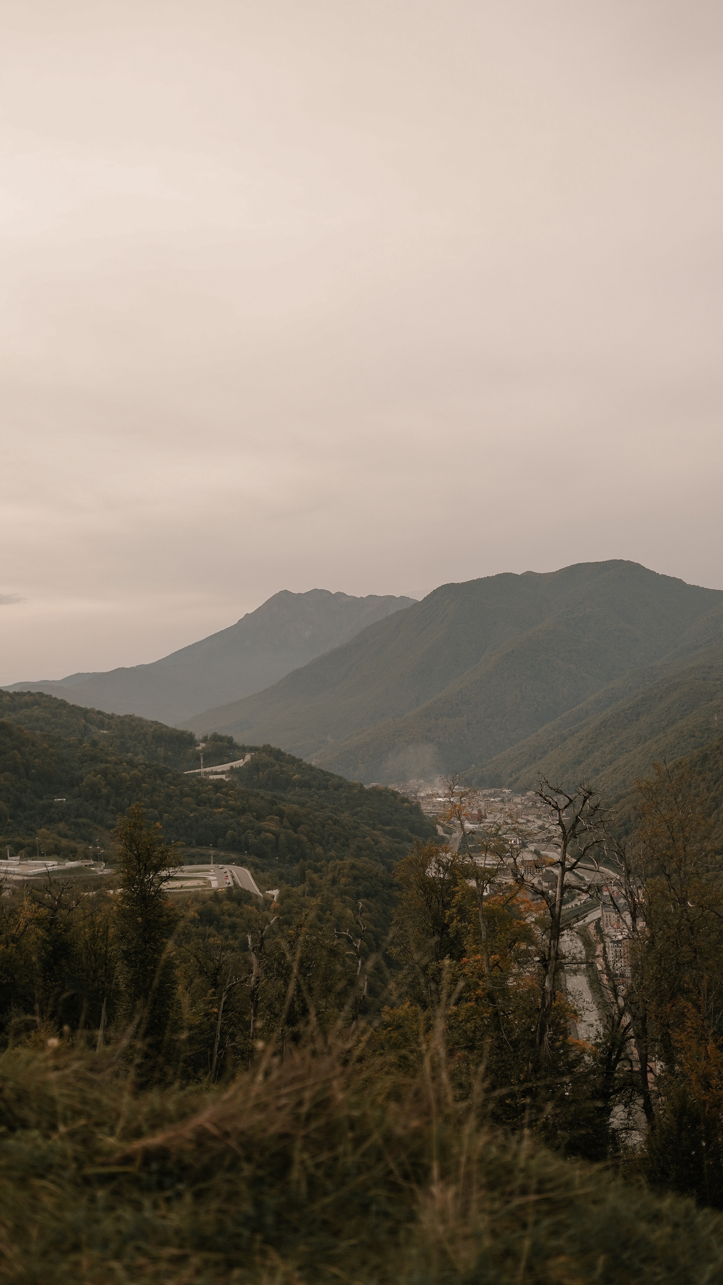 «Коготь». Милана Довгаль - семейный фотограф и видеограф  в Адлере и Сочи