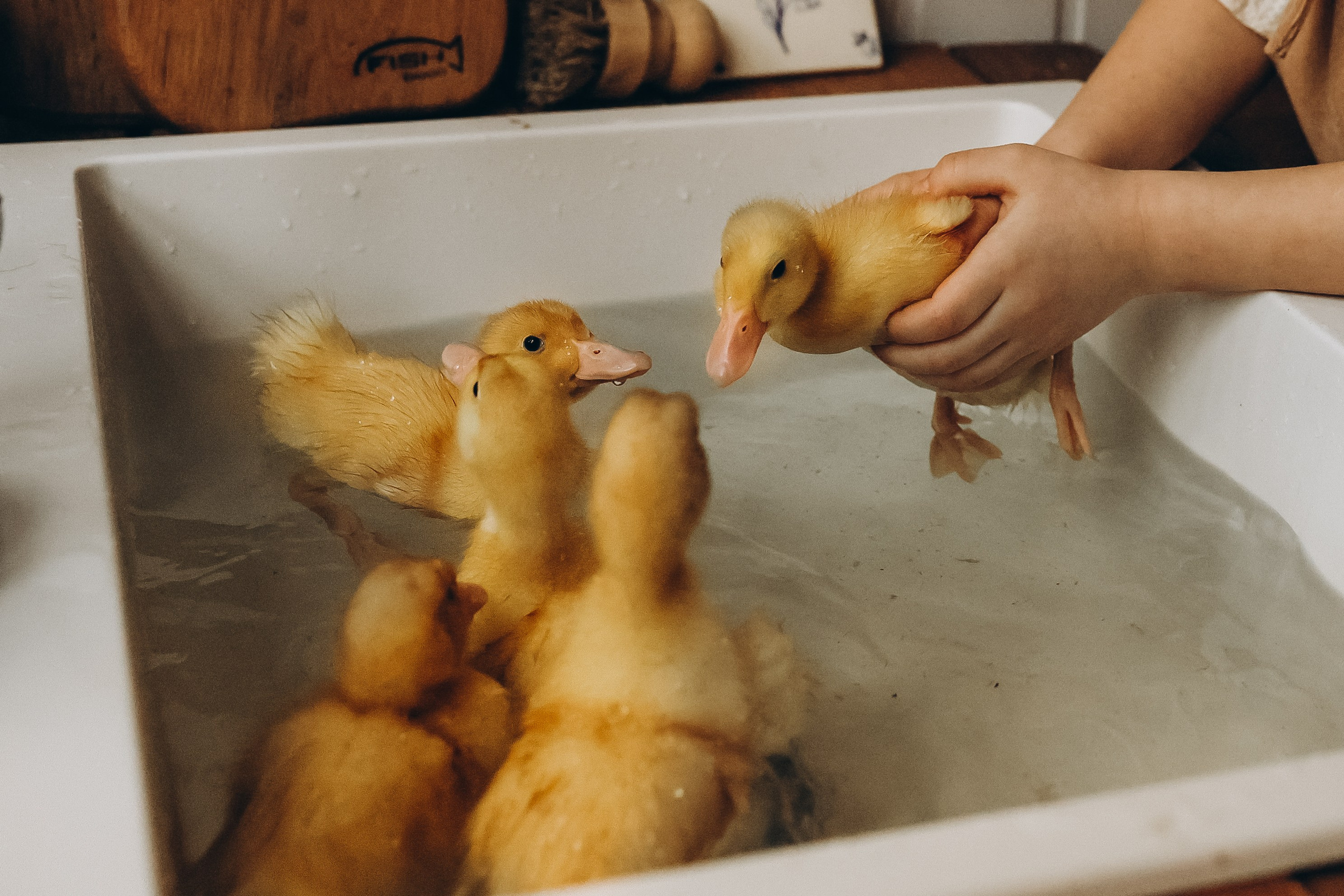Утиная. Я Лена — семейный фотограф в стиле Лайф Москва и Подмосковья: Балашиха, Пушкино, Щелково, Домодедово, Дмитров. Я за эмоции и любовь