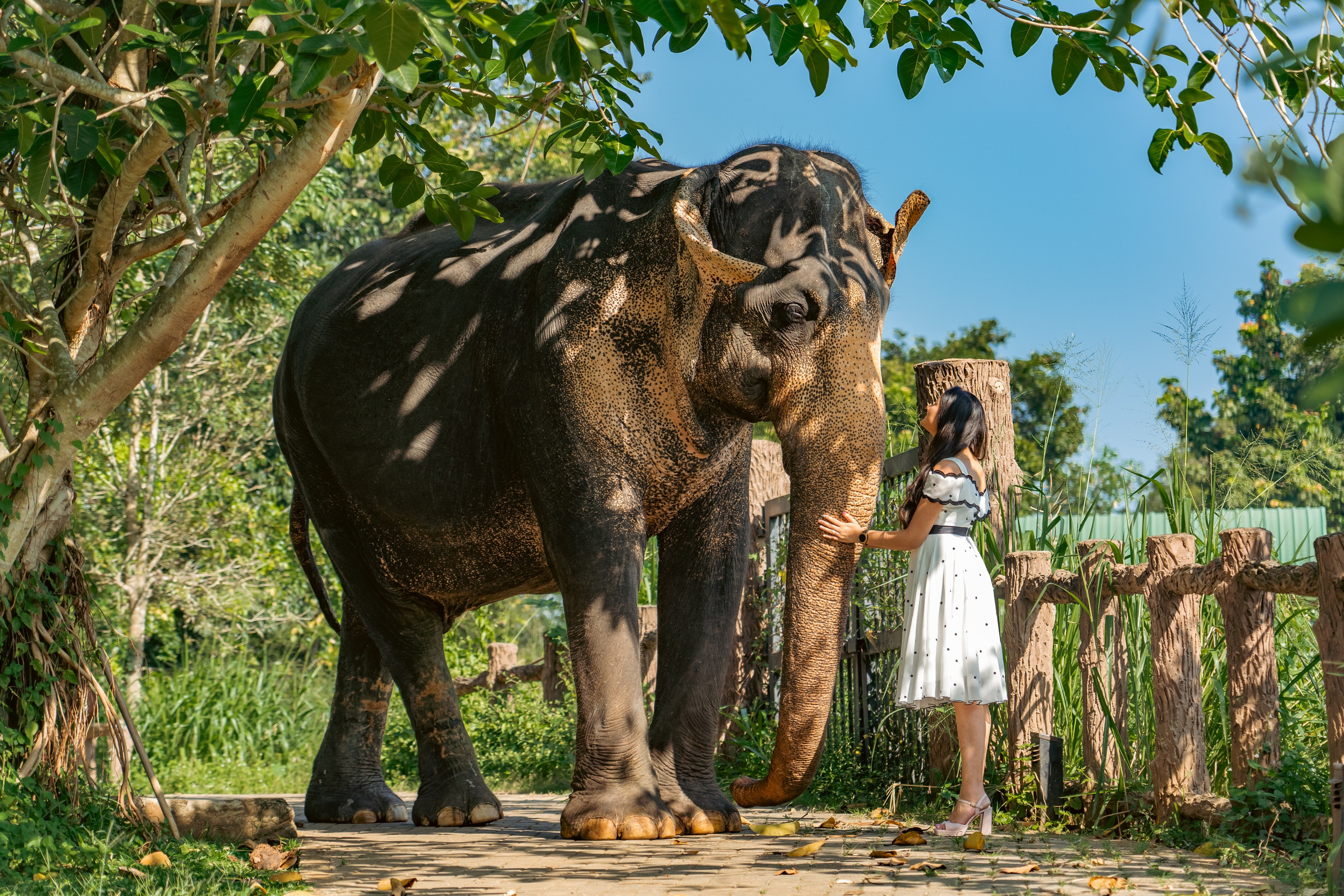 Excursions in Sri Lanka