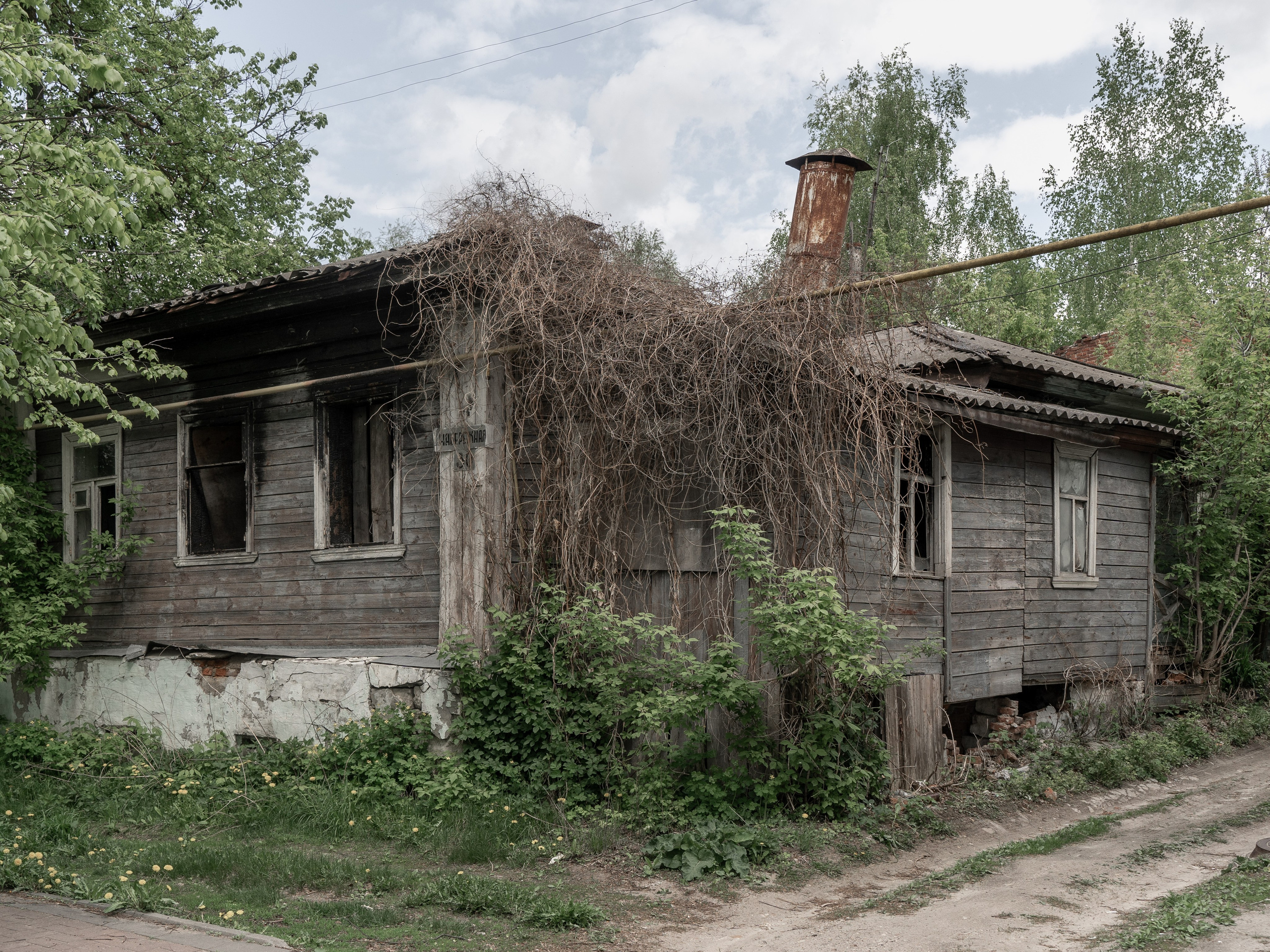 Фотографии. Ксения Доможилова