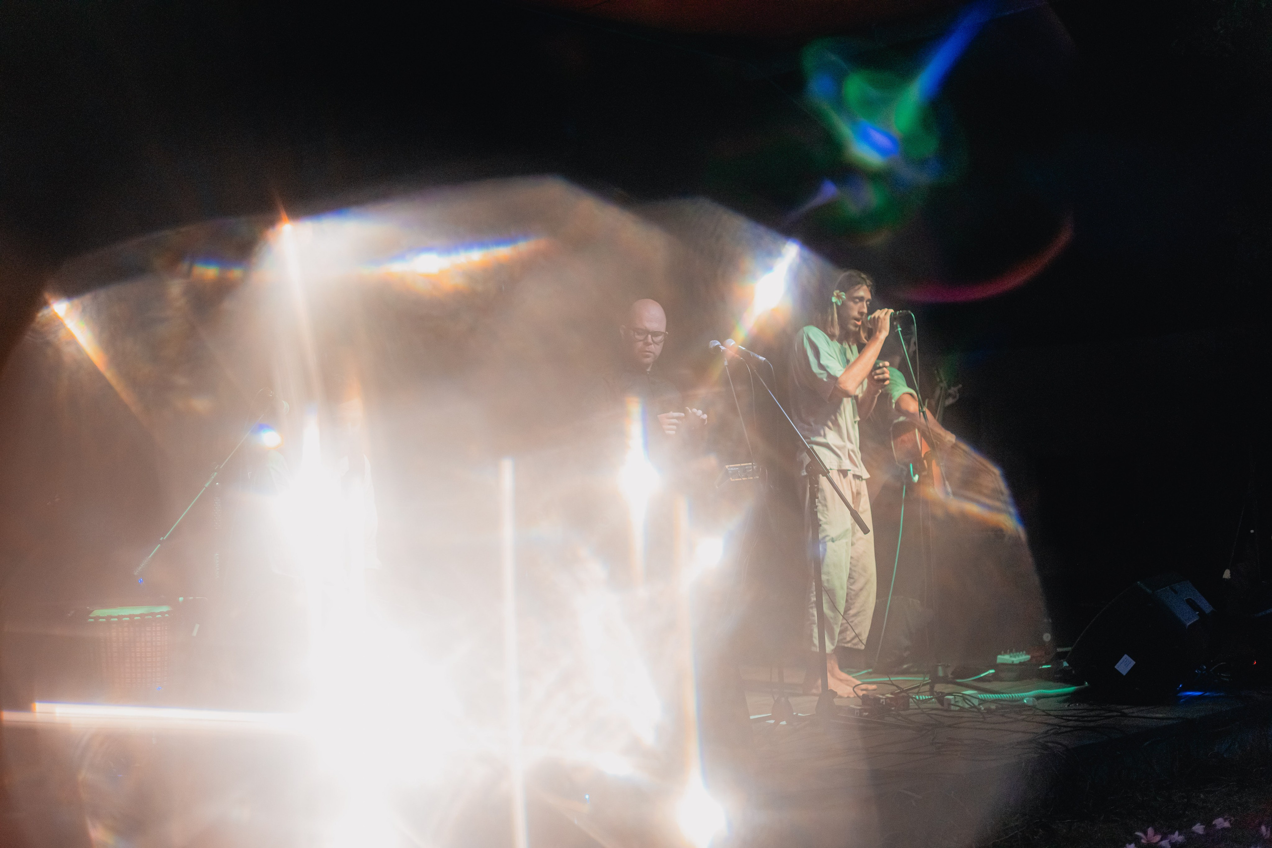 Russian New year. Мариам Багдасарян