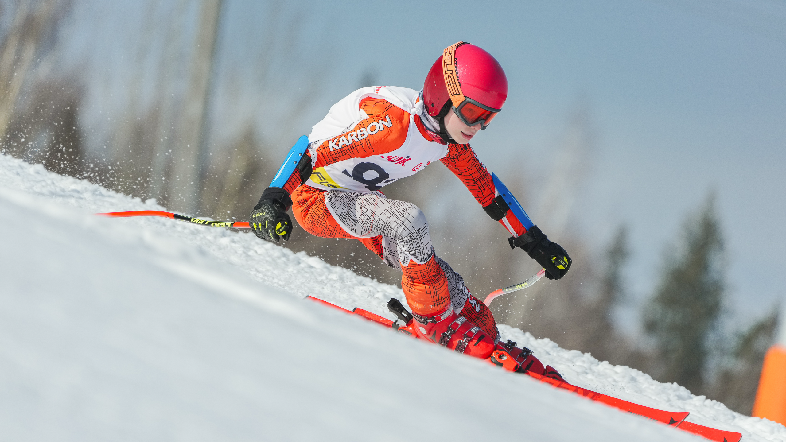 GS (Giant Slalom) - Слалом-гигант. Соревнования по горнолыжному спорту. Московская область, Шуколово