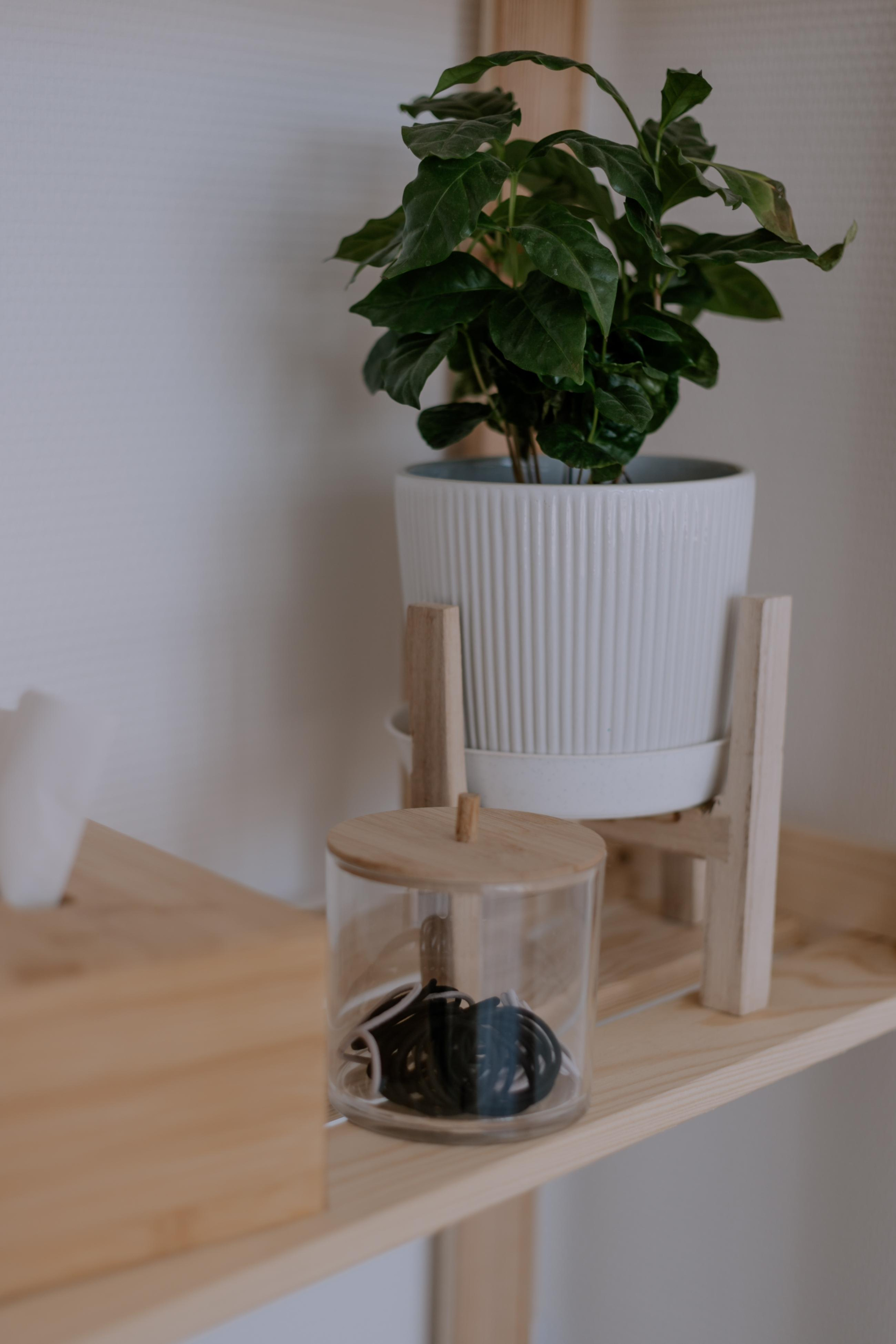 Reset.fit.pro (контент). Фотограф Волгоград Кристина Прохоренко