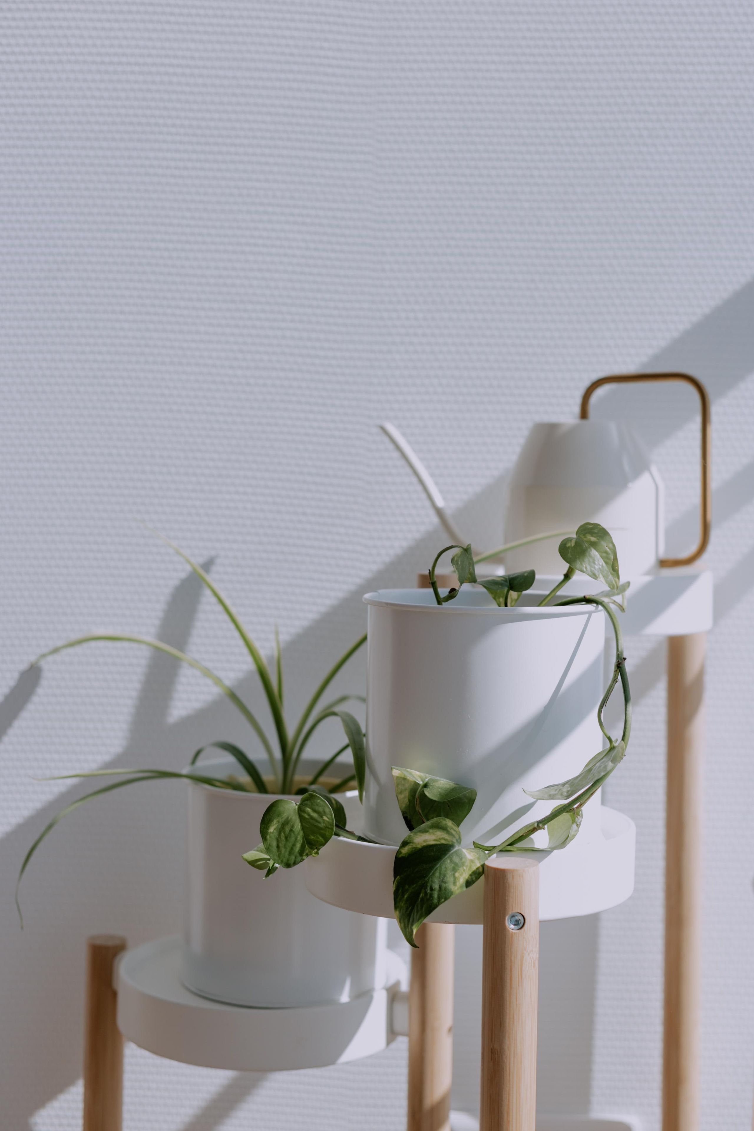 Reset.fit.pro (контент). Фотограф Волгоград Кристина Прохоренко