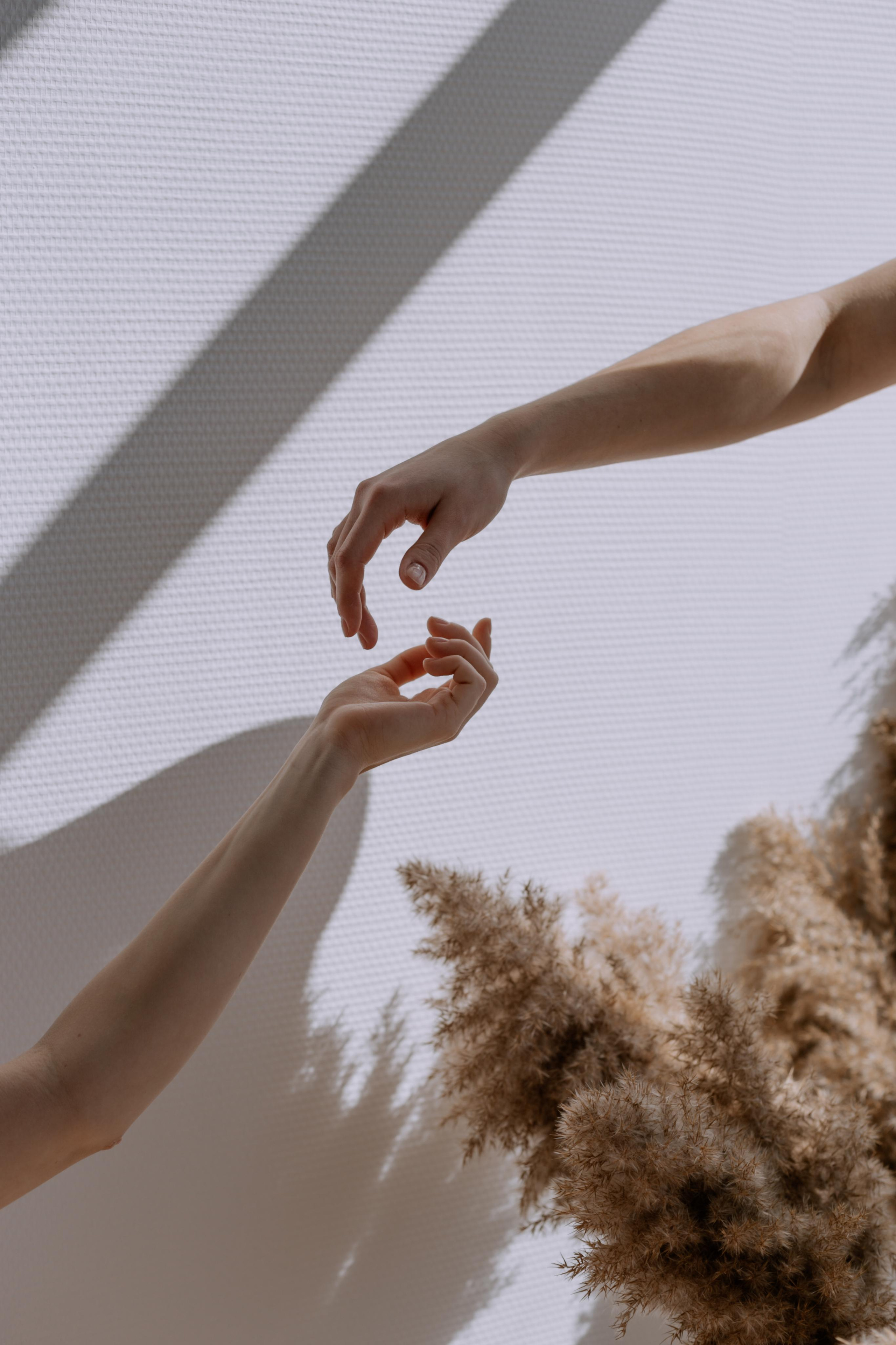 Reset.fit.pro (контент). Фотограф Волгоград Кристина Прохоренко