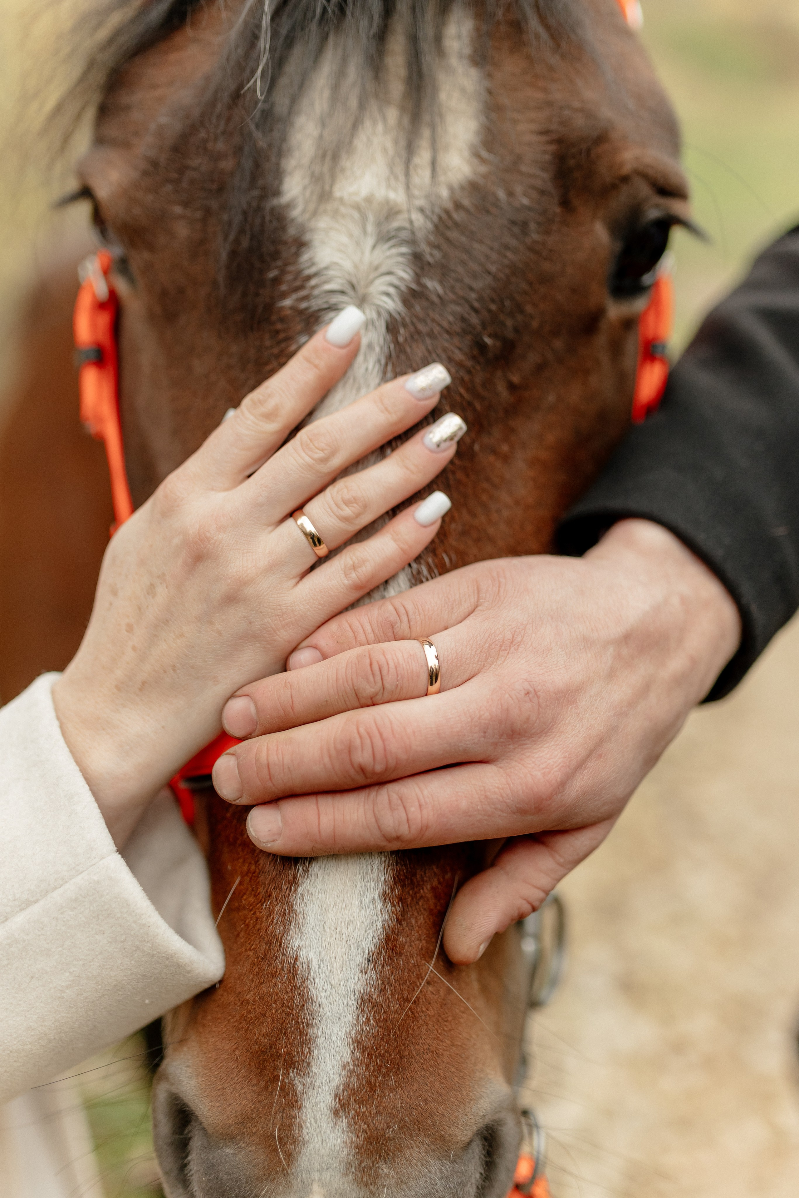 Алены и Алексея 17.10.25. Фотограф в Калуге Марина Афанасьева