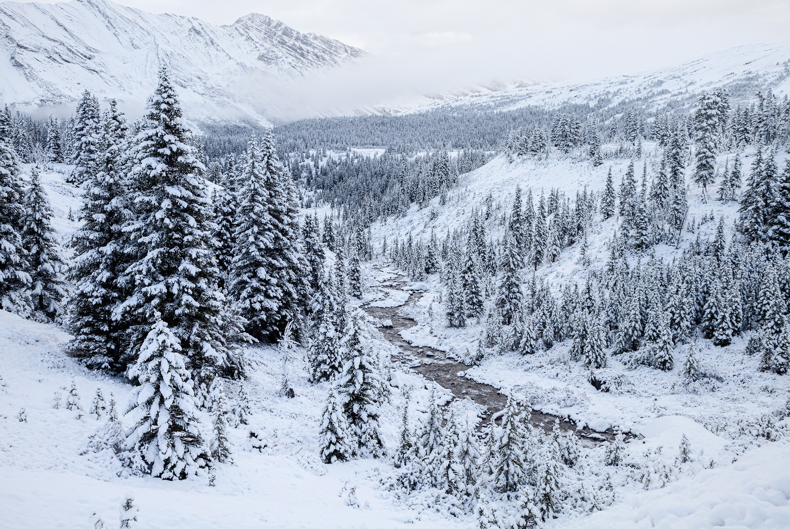 Канада. Фотограф Владимир Медведев