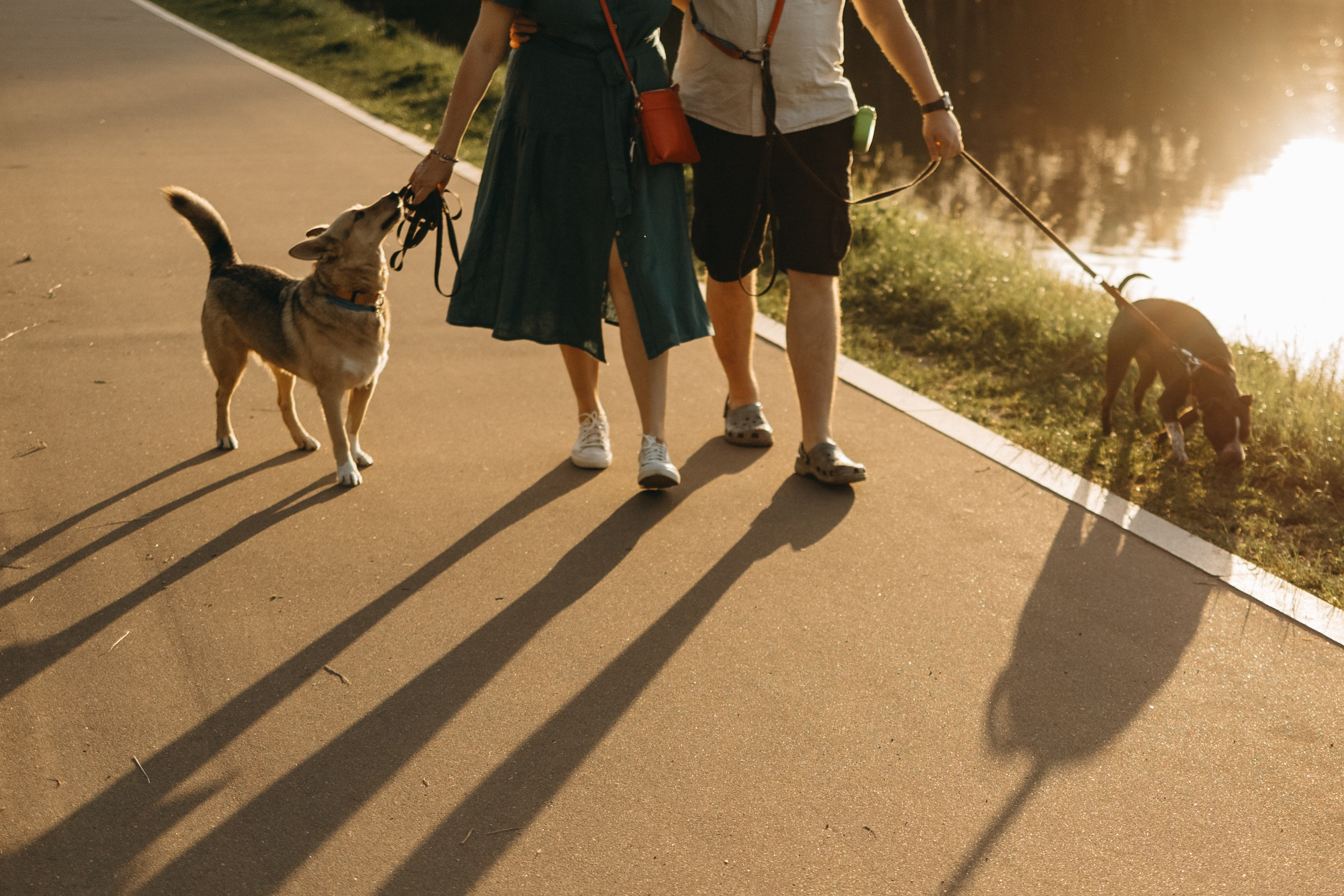 Татьяна, Сергей и их Булочка и Пончик. Фотограф — Анималист | Санкт-Петербург
