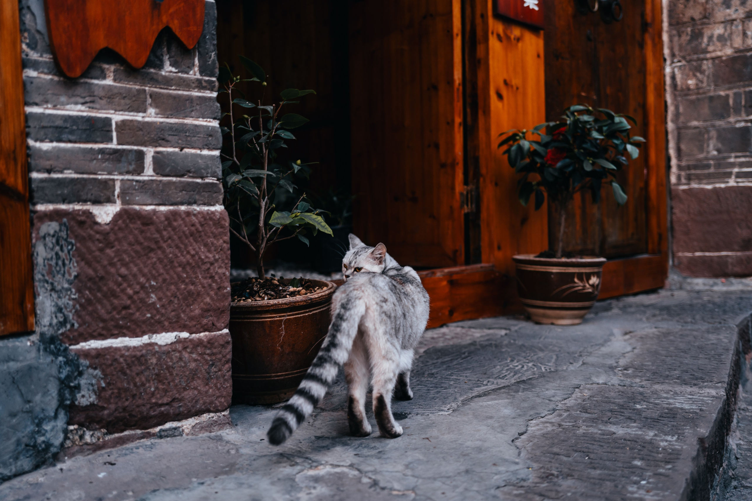 China/Китай. @tomrus: Рустам Шагиморданов — фотограф