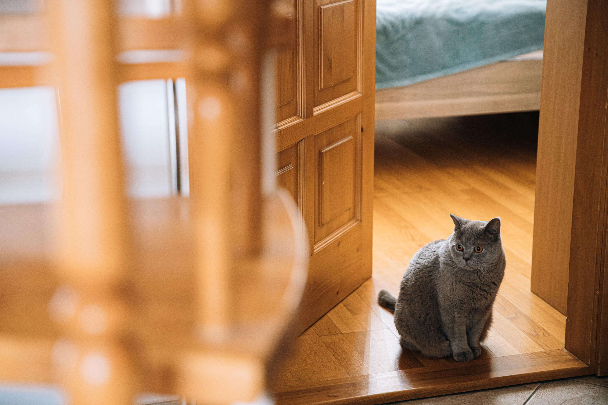 Stefan & Valeria — Bratislava (Slovakia). Richard and Irene - Destination wedding photographer