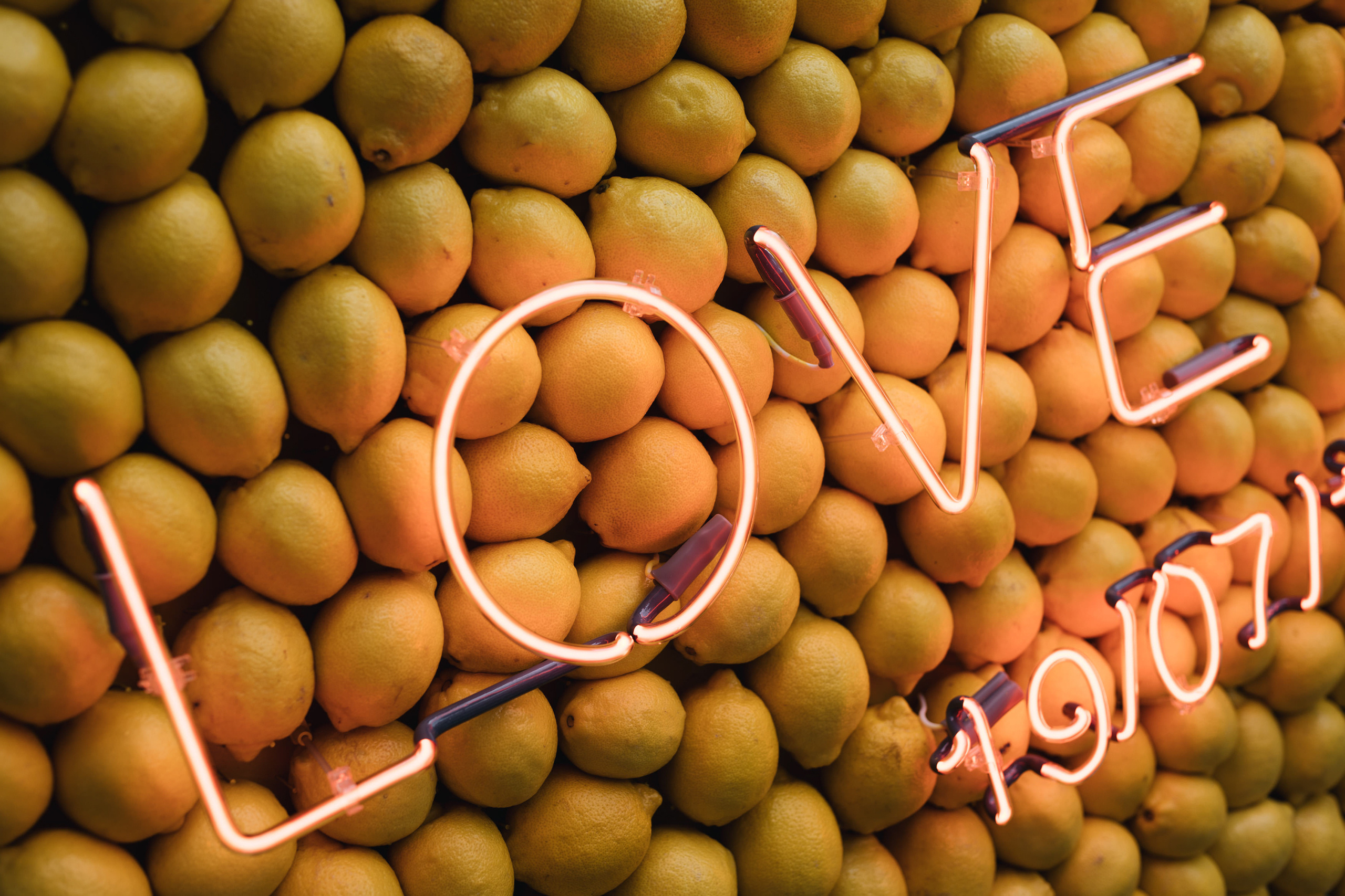 Виталий & Юлия — Москва (Россия). Свадебный фотограф Ричард Конвенсаров Wedding Photographer Richard & I