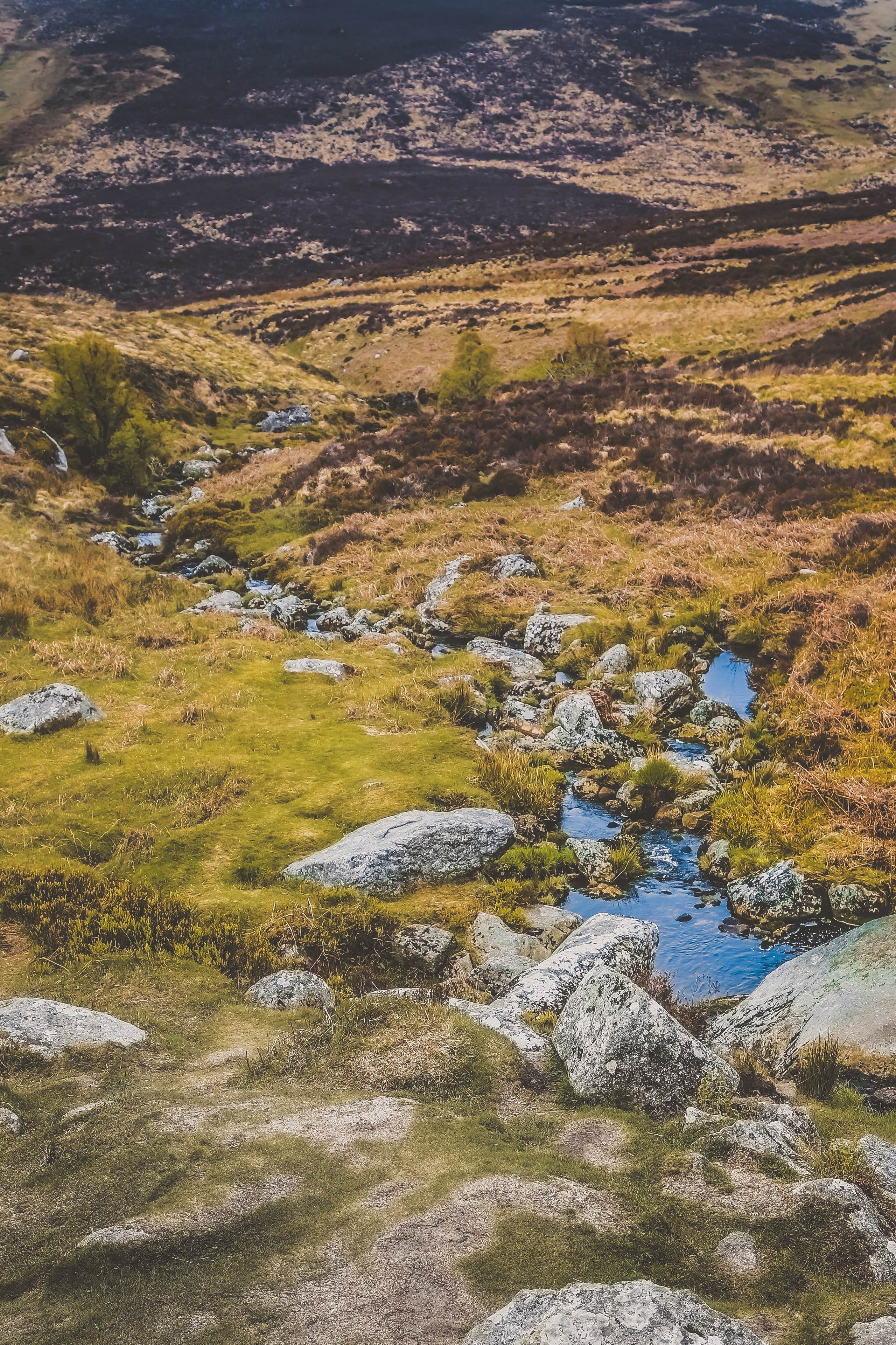 Ирландия: Горы Уиклоу. Дарья Письменюк / Darya Leitstern — фотограф, музыкант, журналист, путешественник