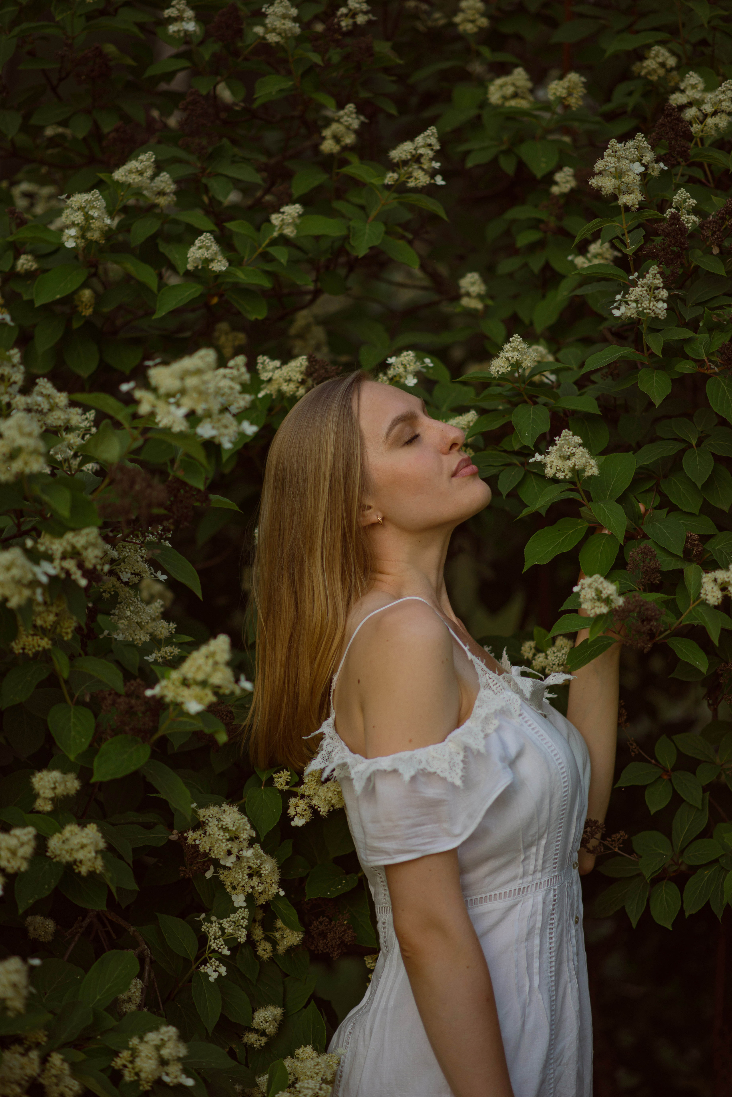 Anastasia. Фотограф в Москве Елена Брылева