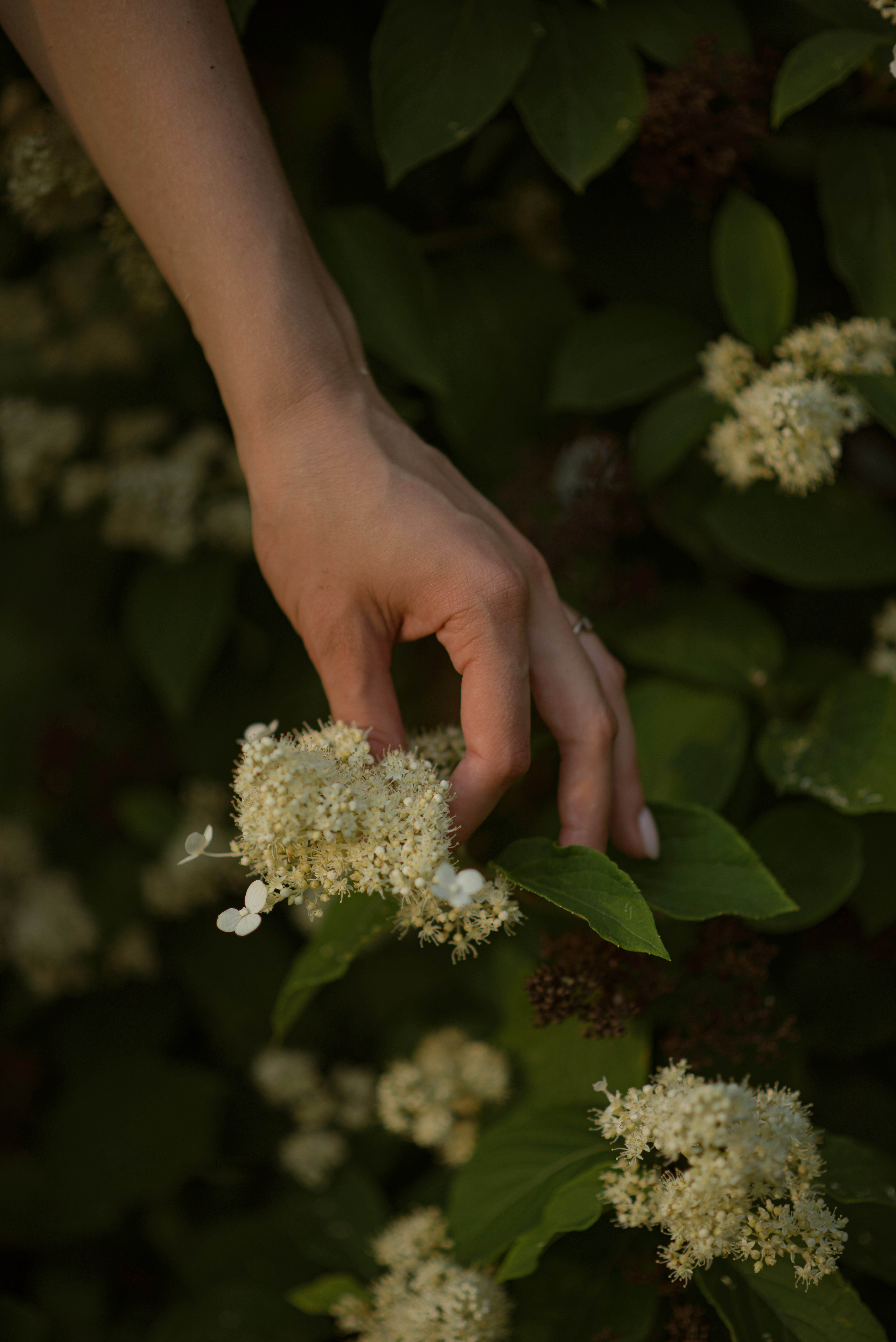 Anastasia. Фотограф в Москве Елена Брылева