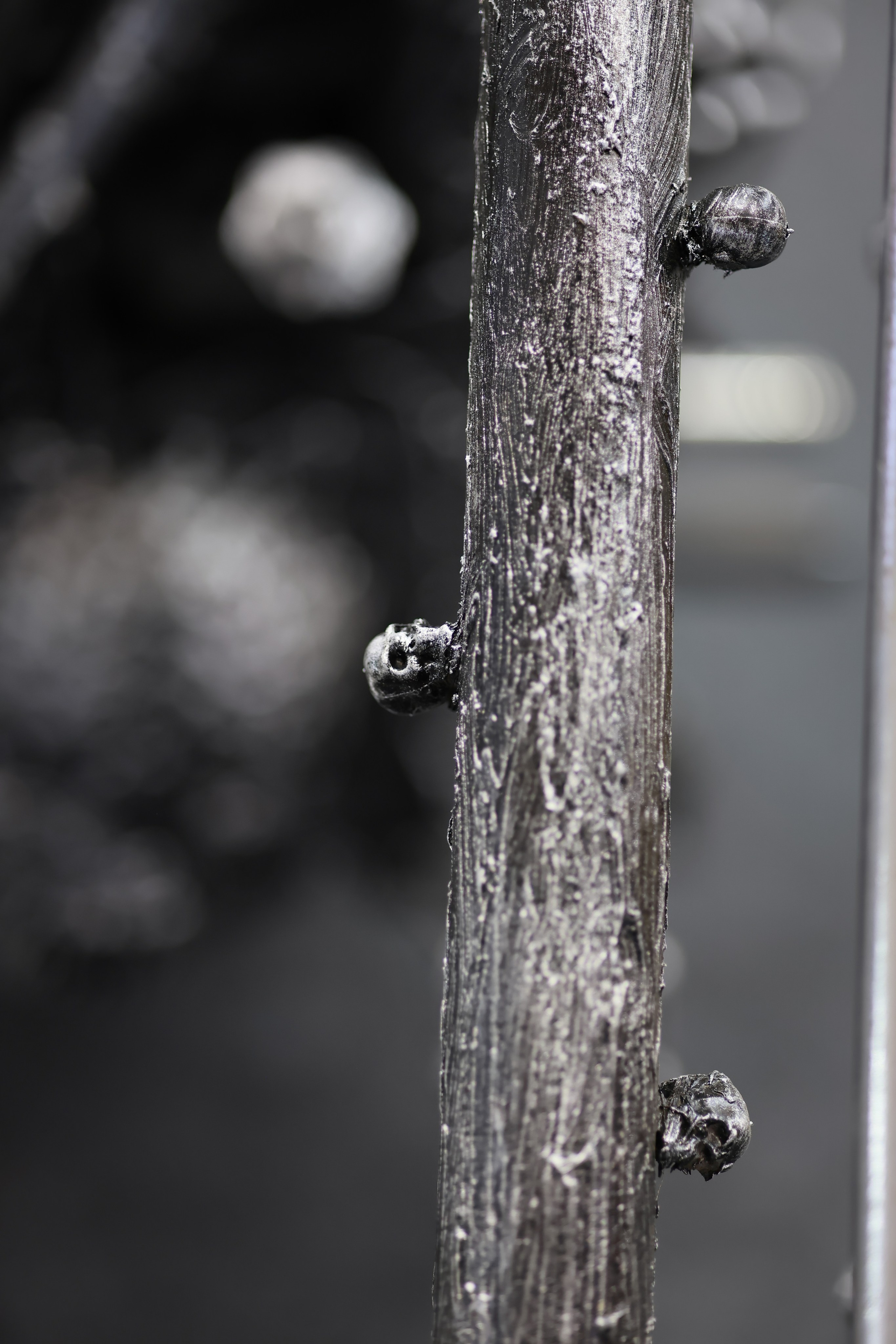 Выставки/Ярмарки. Профессиональный фотограф в Москве