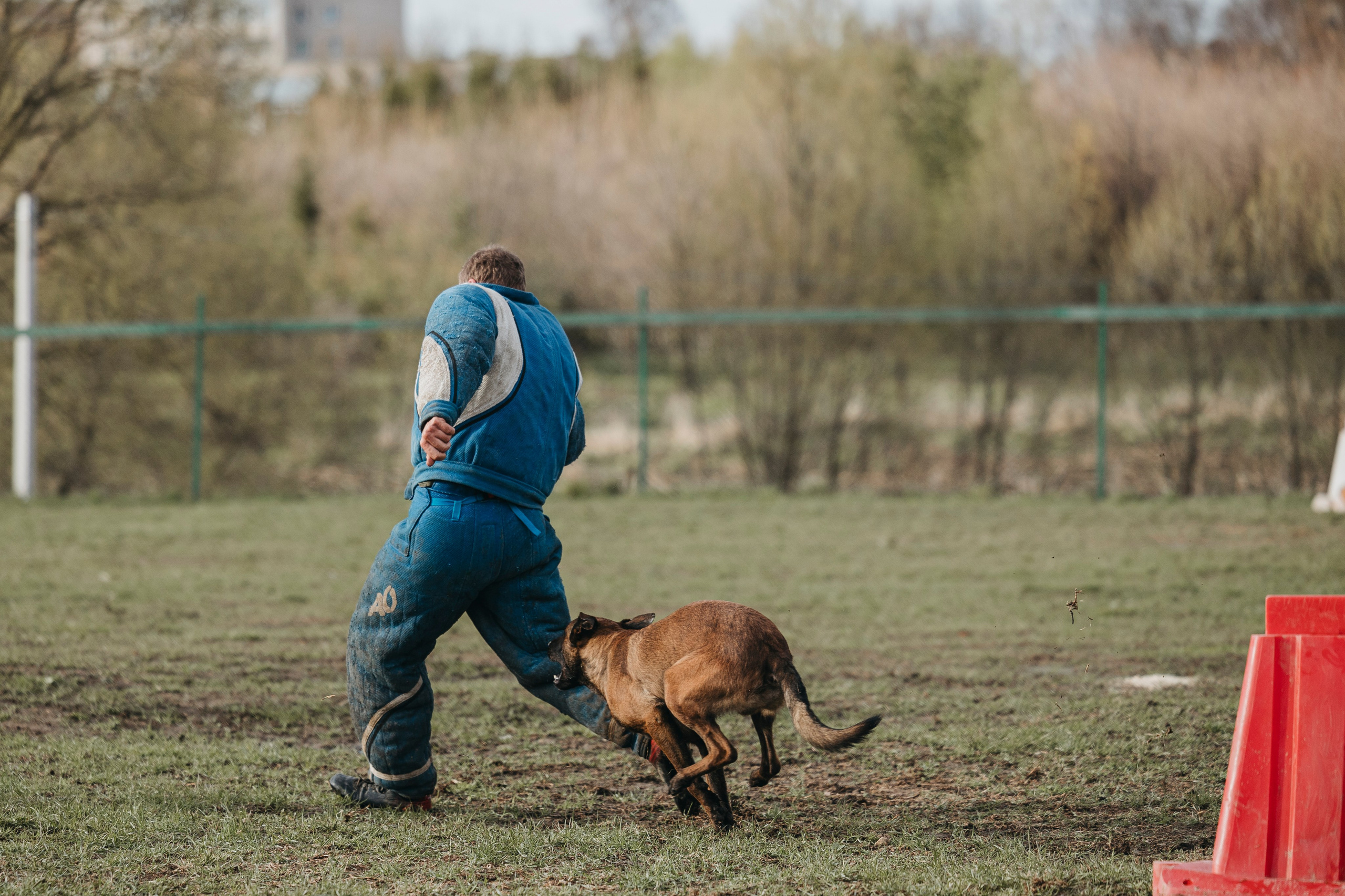 09.05.25 Вологда соревнования. Фотограф-анималист Анна Маринич