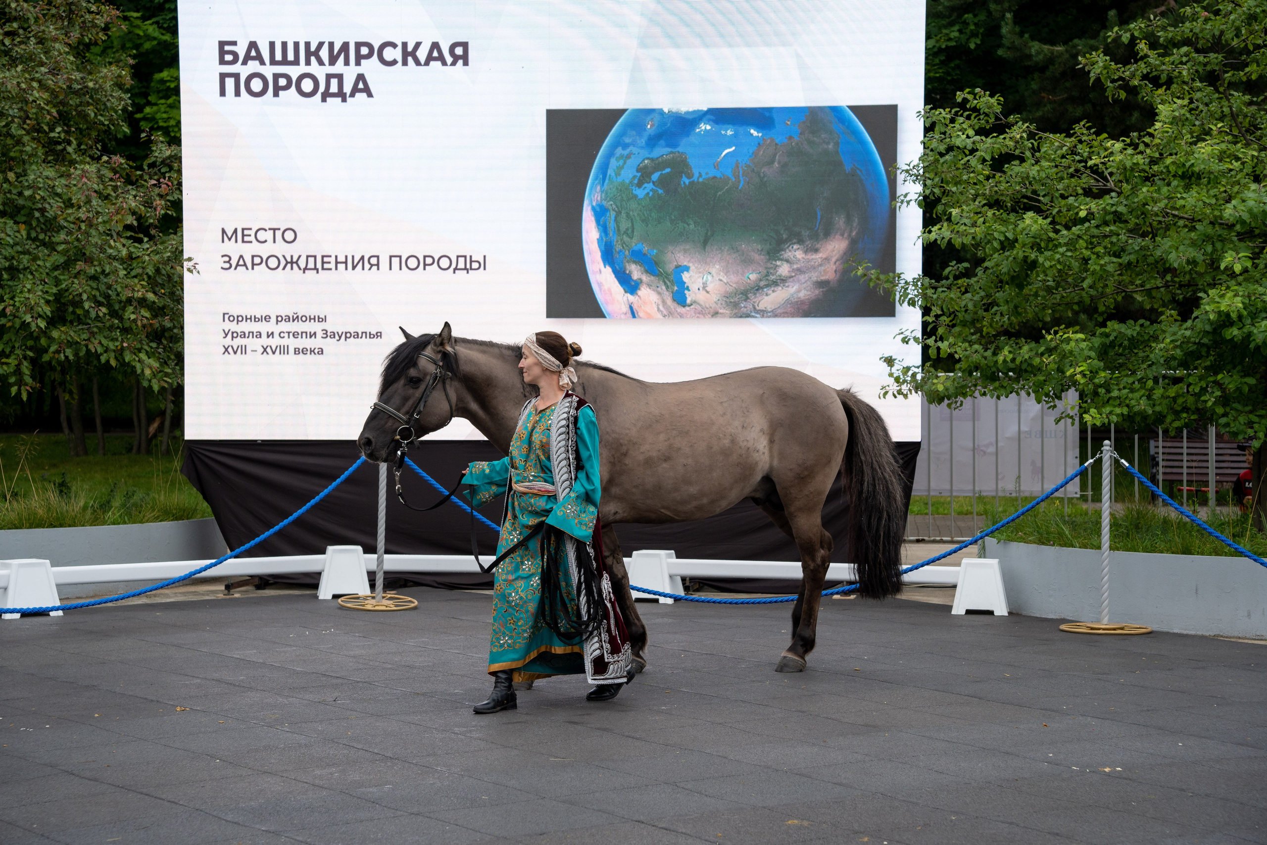 Животные. Фото, видео, монтаж