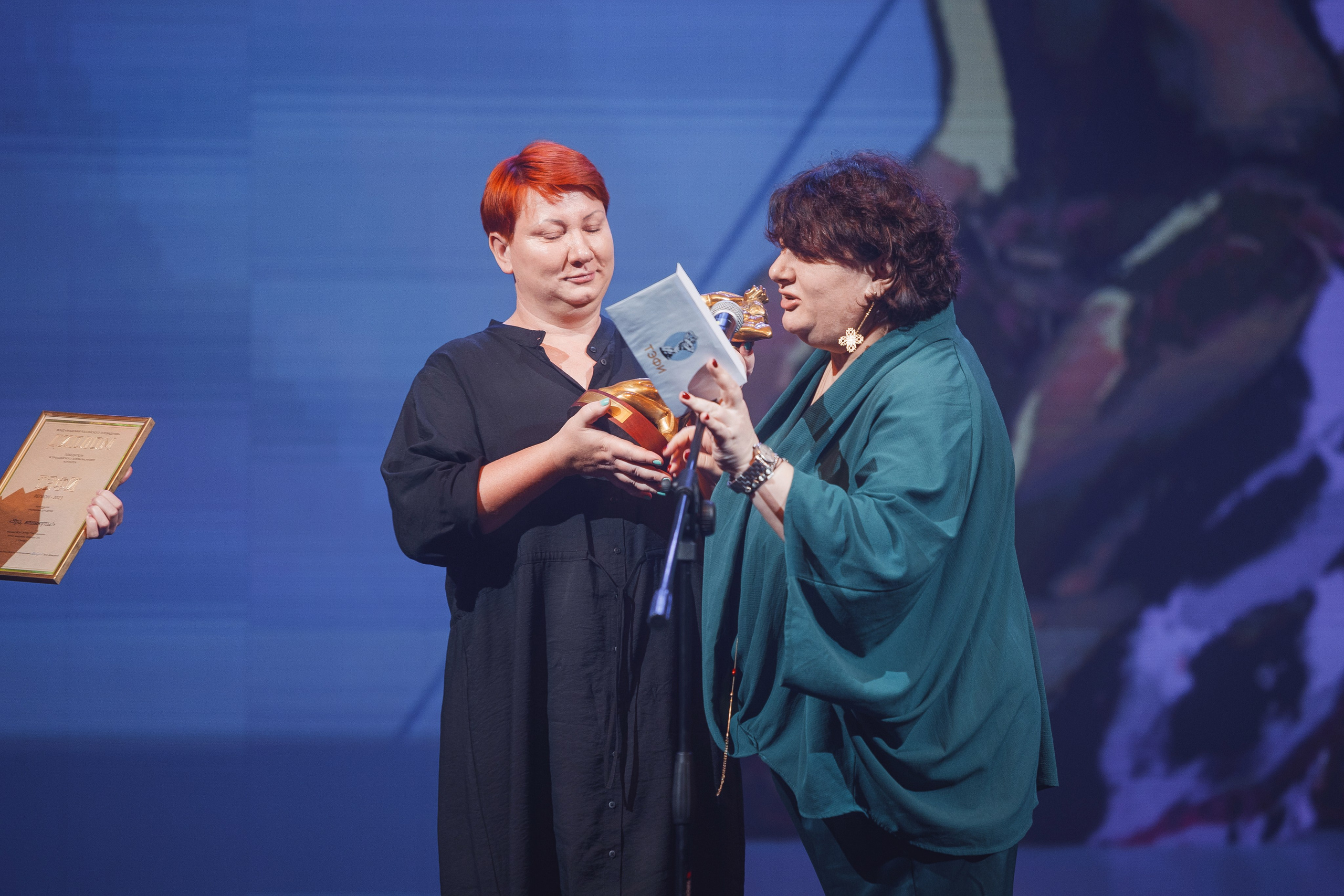 ТЭФИ Регион. Церемония награждения. Свадебный и репортажный фотограф в Волгограде Антон Сидоренко