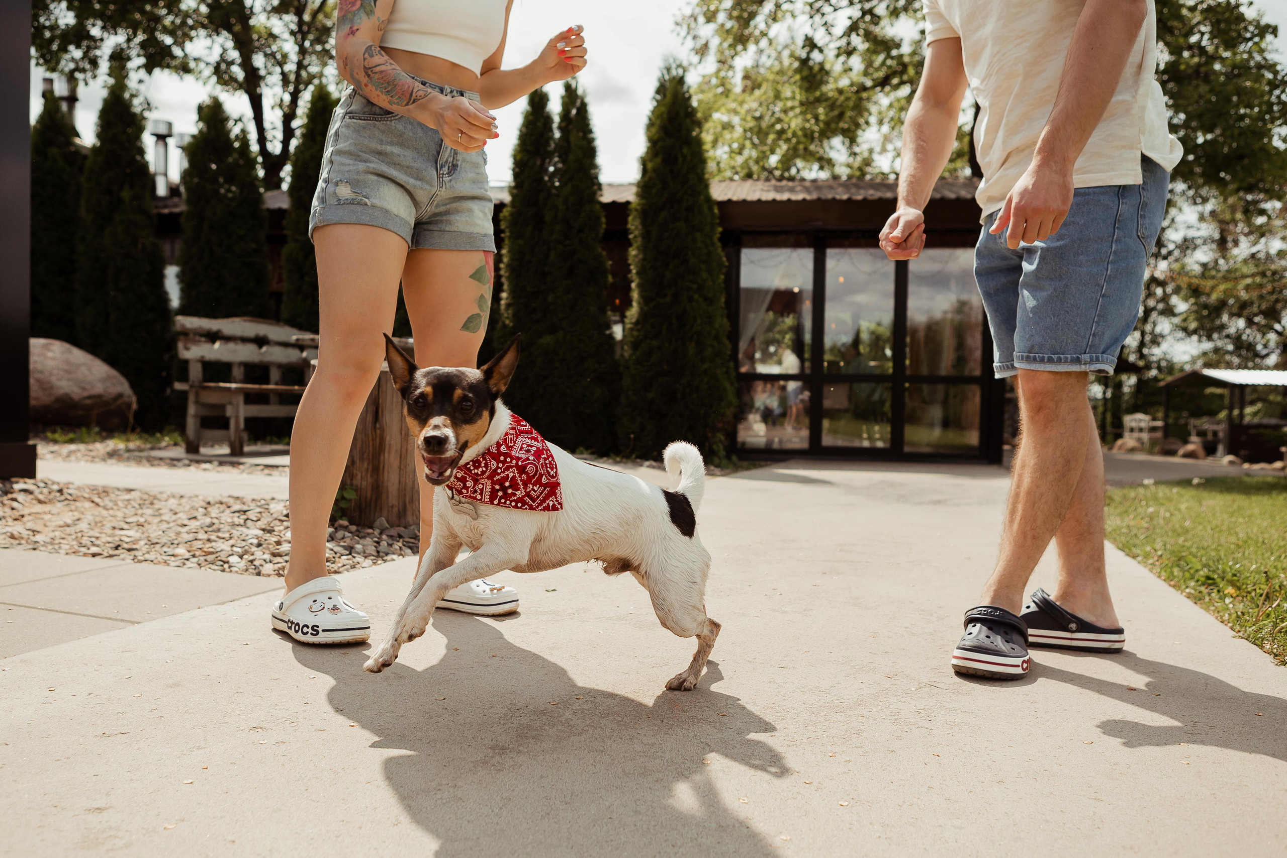Наташа, Ваня и Купер. ФОТОГРАФ Маргарита Сивакова | Ярославль Кострома Москва