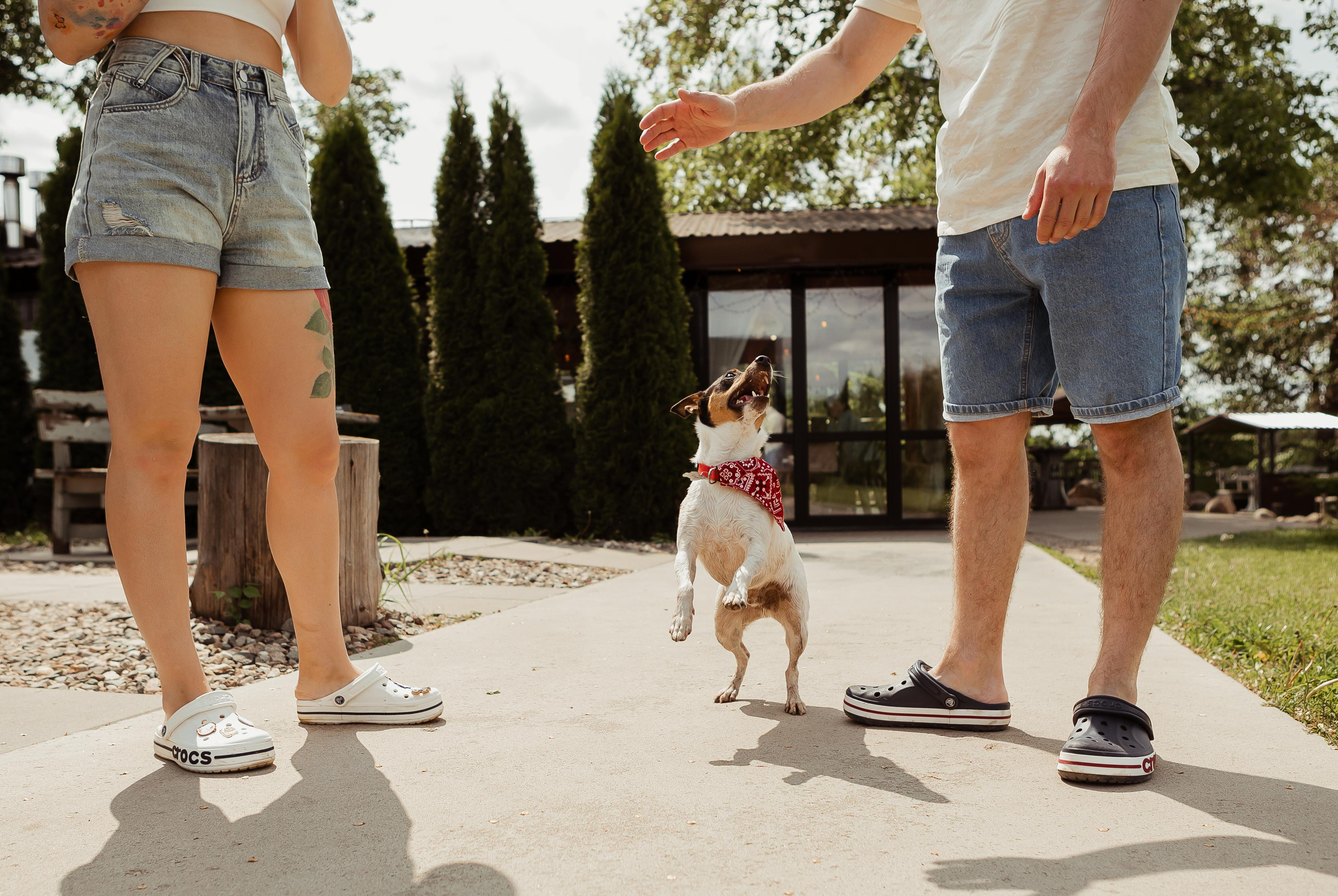 Наташа, Ваня и Купер. ФОТОГРАФ Маргарита Сивакова | Ярославль Кострома Москва