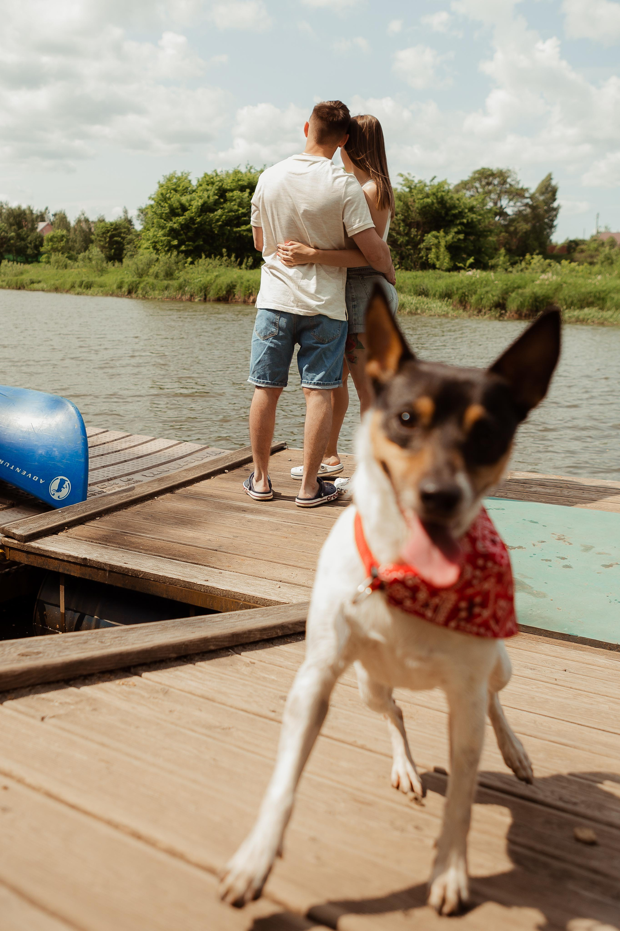 Наташа, Ваня и Купер. ФОТОГРАФ Маргарита Сивакова | Ярославль Кострома Москва