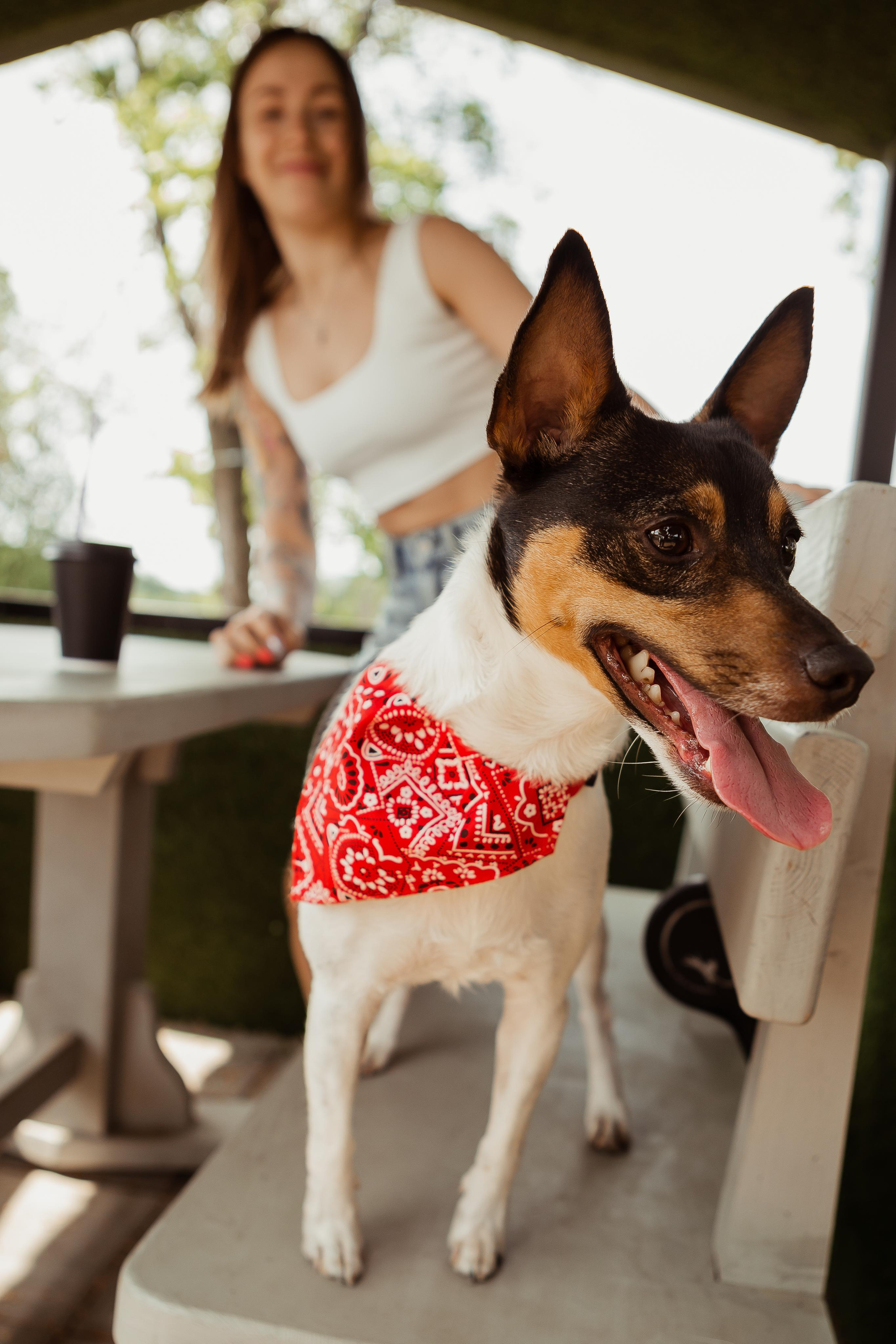 Наташа, Ваня и Купер. ФОТОГРАФ Маргарита Сивакова | Ярославль Кострома Москва