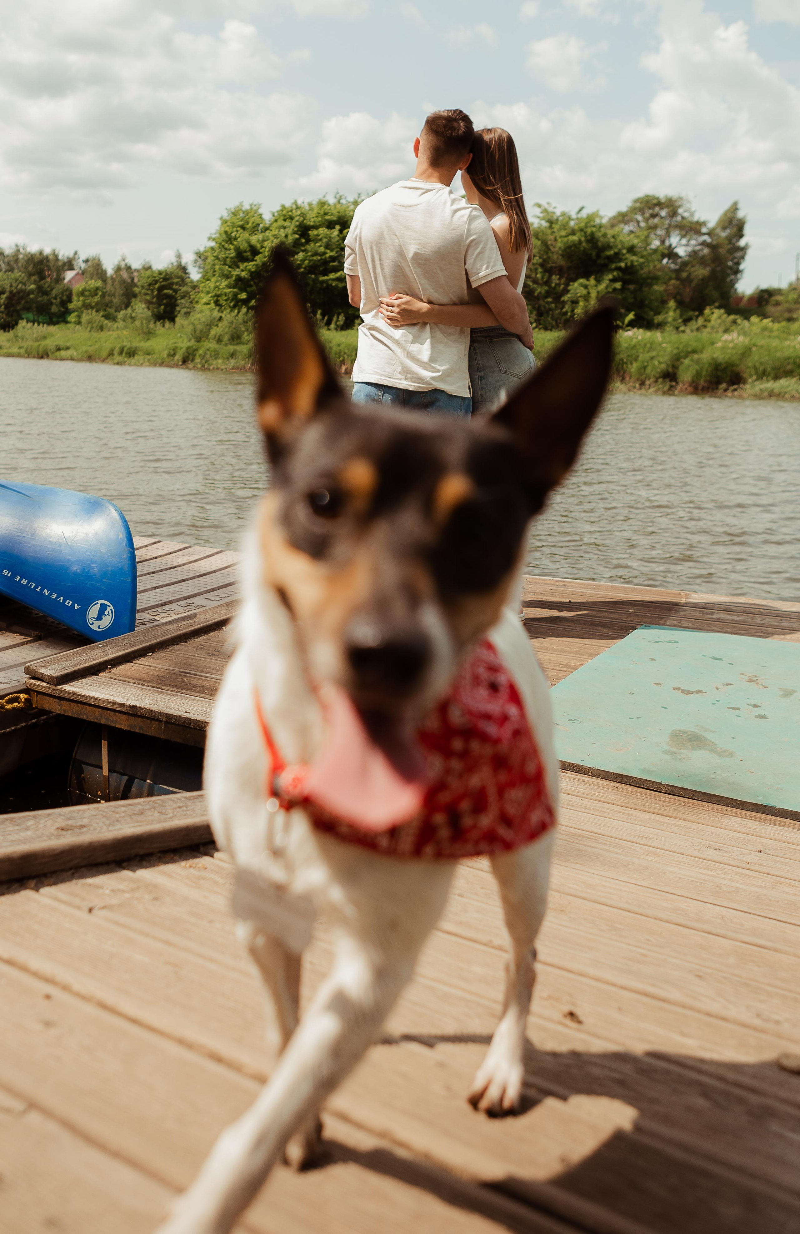 Наташа, Ваня и Купер. ФОТОГРАФ Маргарита Сивакова | Ярославль Кострома Москва