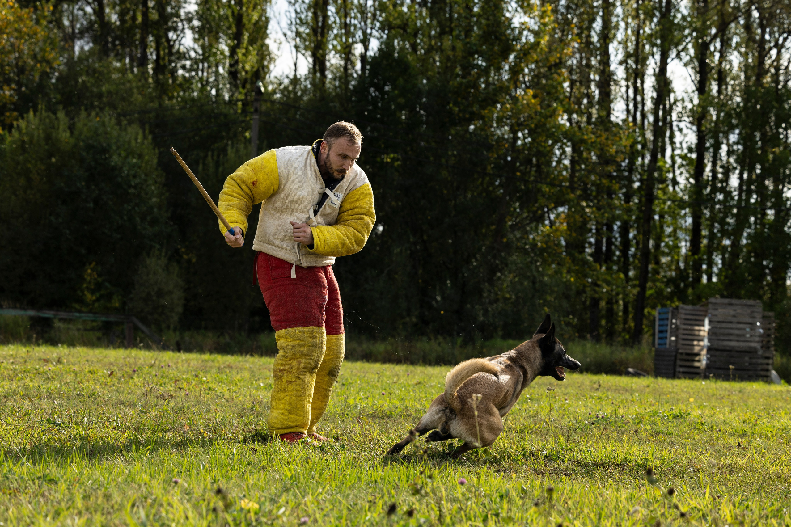 Испытания по Мондьорингу г. Пушкин. Фотограф-анималист Анна Маринич