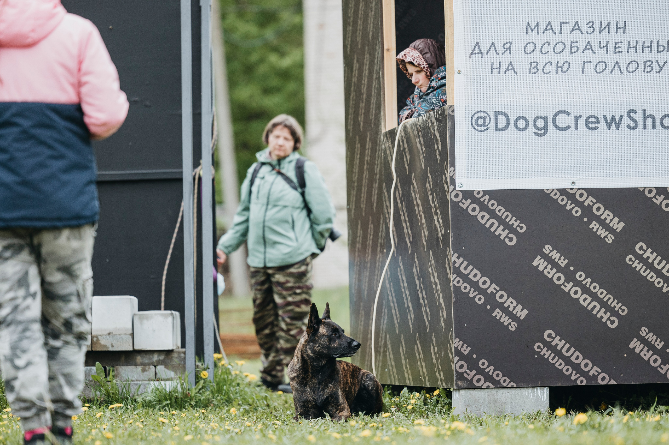 26.05.25 г. Пушкин квалификационные соревнования. Фотограф-анималист Анна Маринич