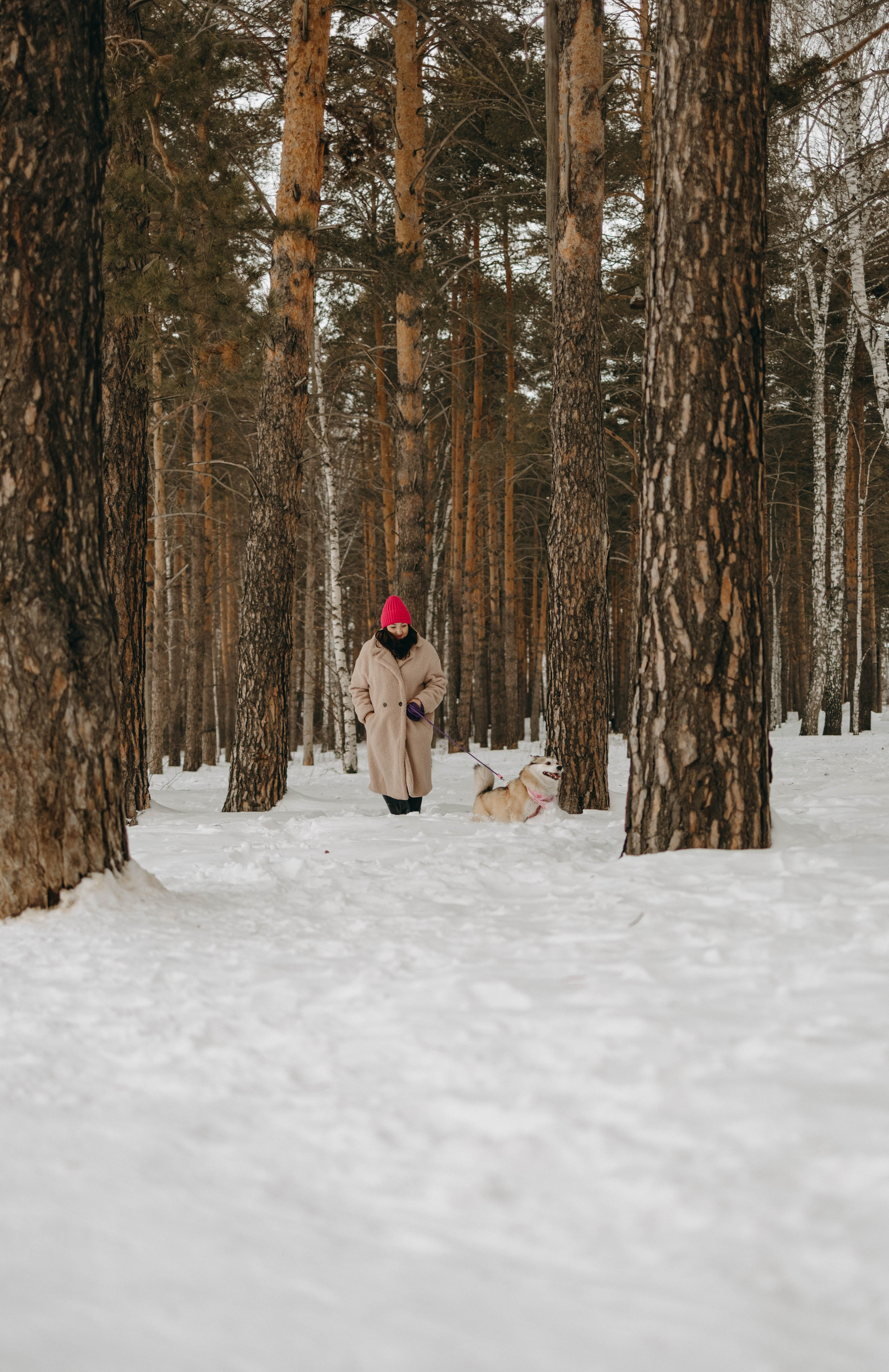Варвара и Шелби. Фотограф-анималист в Екатеринбурге | Кристина