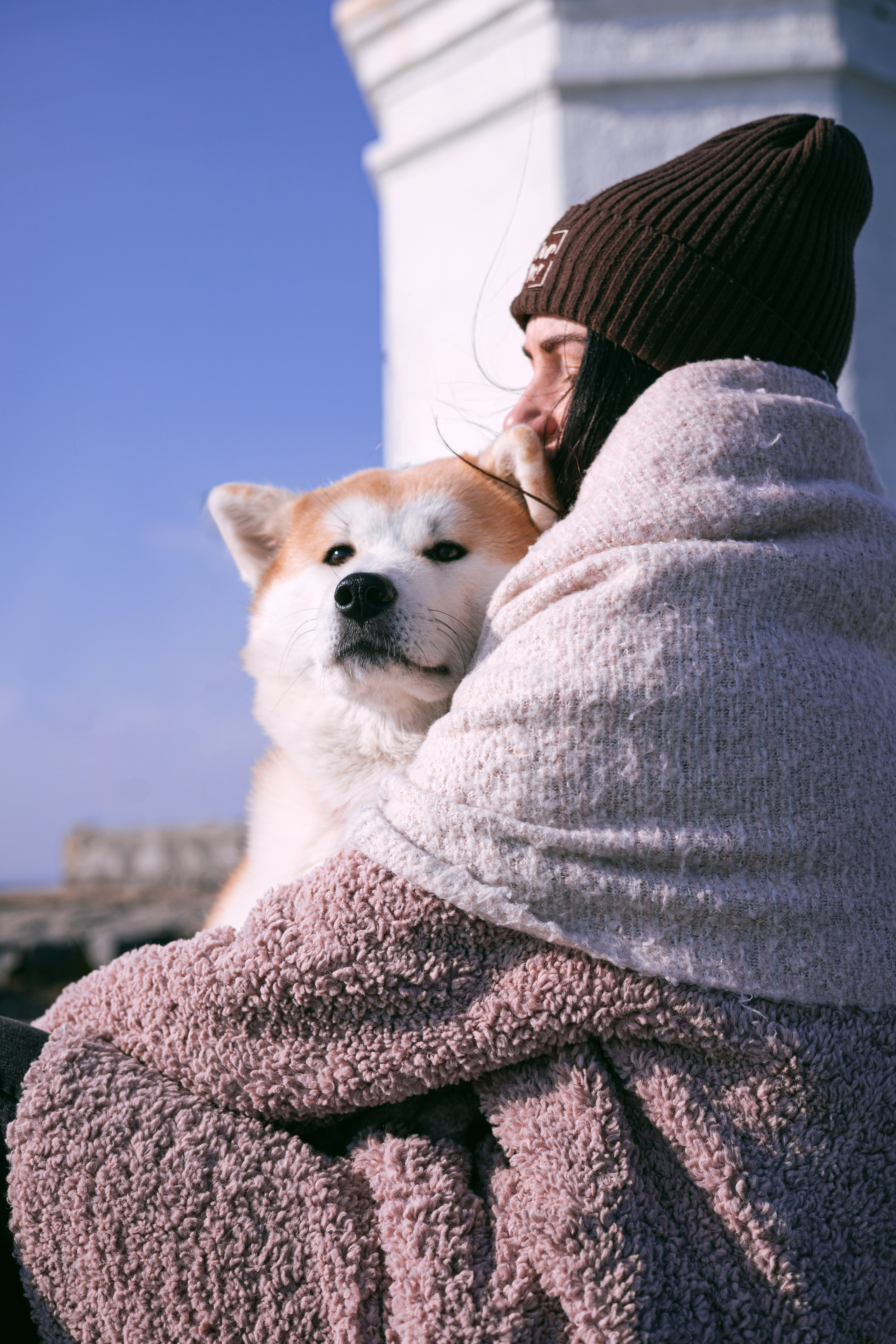 Мария и Бейла. Фотограф — анималист Владивосток, Алина
